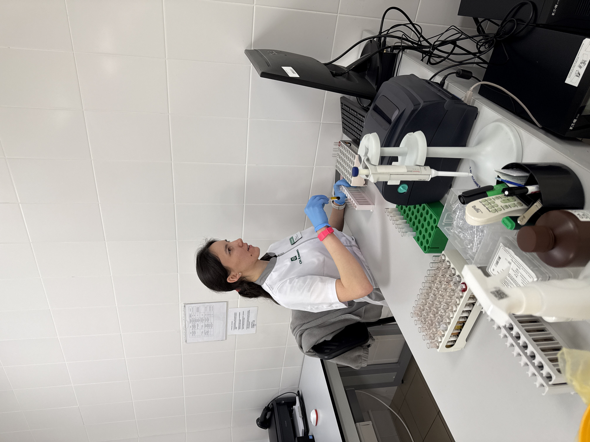 A female lab technician is depicted working in a clinical laboratory environment. She is shown in profile, wearing a white lab coat with a "Clinlab" logo, blue gloves, and a pink wristband on her left wrist. Her dark hair is tied back as she intently focuses on her task. She is using a multi-channel pipette to transfer liquid into small test tubes, which are arranged in a white rack on a clean white countertop.
The workbench is equipped with various lab materials, including multiple racks of test tubes, a green test tube rack, clear plastic containers, and a brown bottle. A white pipette stand holds another pipette, branded "Thermo Scientific FINNPIPETTE." Adjacent to her workspace, a desk area features computer equipment, including a black monitor (possibly HP, given a visible partial label), a keyboard, and several black devices (some marked "EATON") with numerous cables. A Canon printer is also visible below the desk. A black pen holder on the desk contains pens, including a green marker, and a white remote-like device.
The setting consists of white tiled walls and a white tiled ceiling. A document with Cyrillic text, appearing to be a schedule or instruction sheet, is taped to the wall behind the technician. The overall scene suggests a professional and active laboratory in Moscow, Russia.
