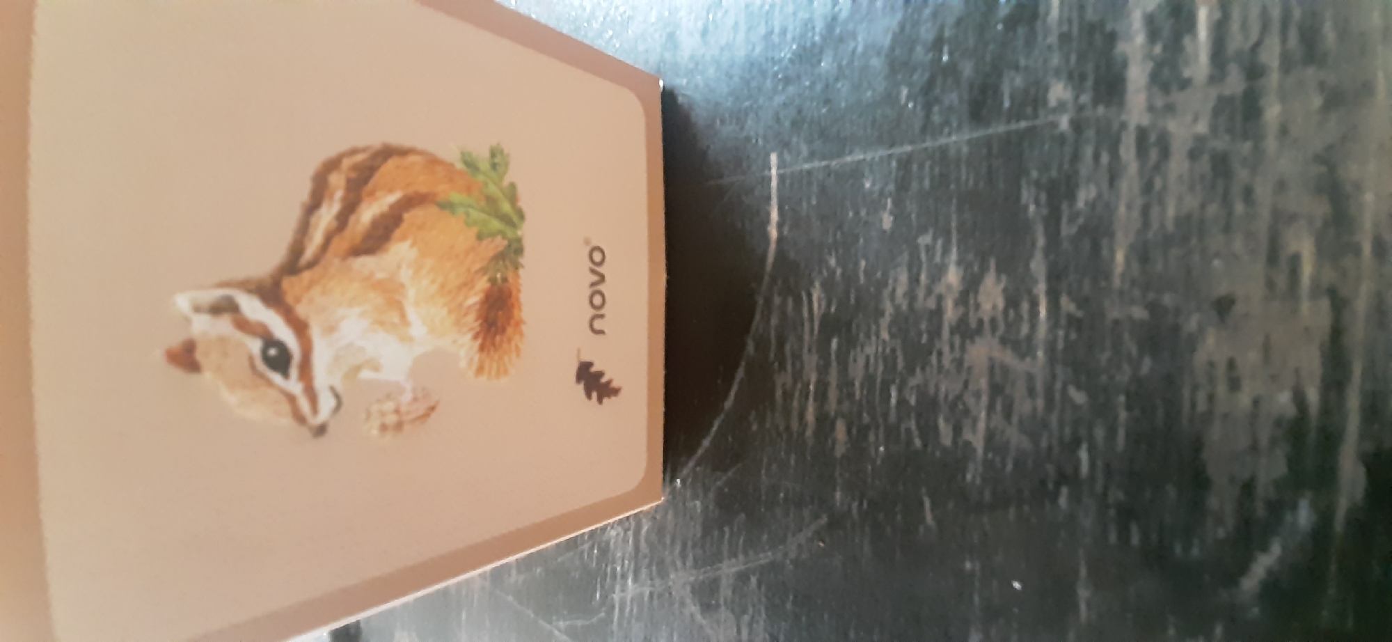 The image shows a close-up of a light brown, hexagonal box with a drawing of a chipmunk on it. Below the chipmunk drawing, there is a small brown oak leaf logo and the word "novo" printed in dark gray text. The box is resting on a dark, weathered wooden surface that appears to be a table. The lighting in the image is dim, casting a slight shadow on the table. The background is out of focus, making it difficult to discern any specific details about the surrounding environment. There are no people visible in the image. The image was taken in Yessentukskaya, Russia.