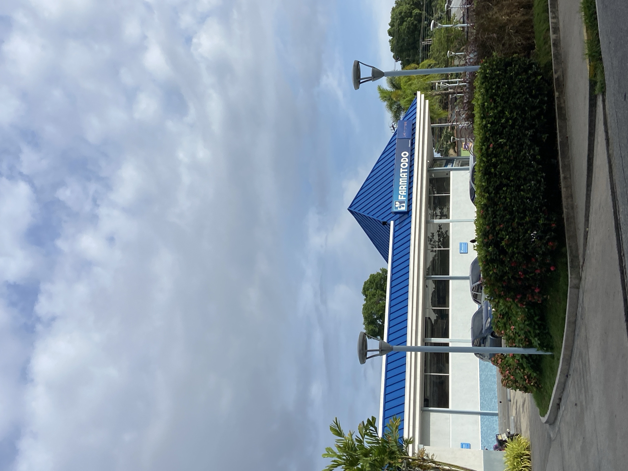 The image depicts a Farmatodo store in Tinaquillo, Venezuela. The building has a blue roof and white walls with several windows. A large "Farmatodo" sign is visible. Lamp posts stand outside the building. A variety of vegetation, including trees, bushes, and flowers, are around the building and the ground outside is paved. The sky is cloudy. A gray car is also visible in front of the store.
