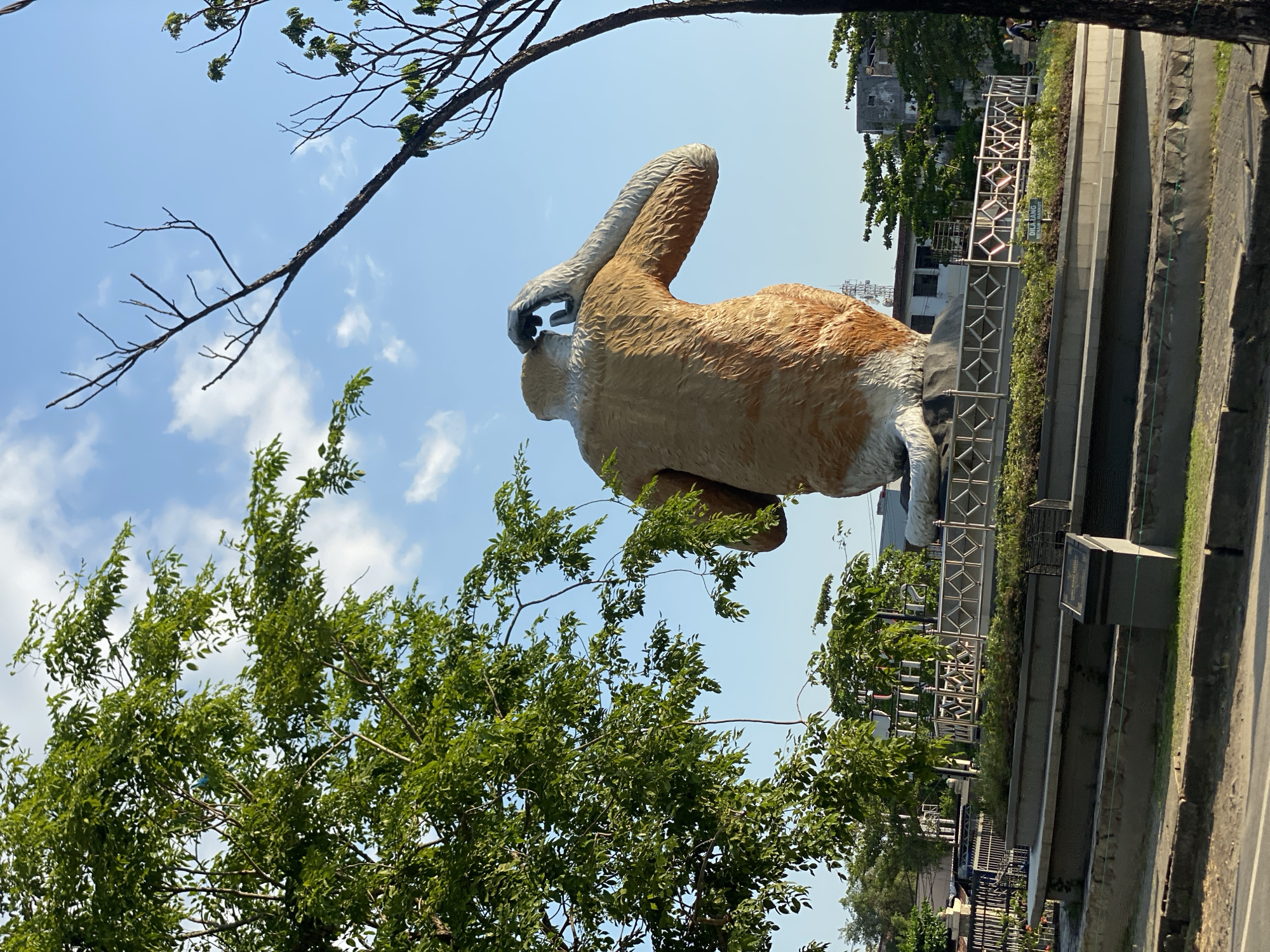 A large, light brown and white statue of a proboscis monkey is the central focus of the image, depicted from behind as it appears to be looking up at the sky and touching its forehead with its right hand. The statue is positioned on a raised, tiered concrete platform with decorative metal fencing around its base. Lush green trees flank the left side of the statue, with their branches extending into the clear blue sky dotted with white clouds. A bare tree branch is visible in the upper right portion of the image. In the background, buildings and a cell tower suggest an urban environment. A sign near the base of the statue reads "DILARANG MAINAN MARMOR", which translates to "DO NOT PLAY MARBLE". The scene appears to be in Banjarmasin, Indonesia, a city known for its proboscis monkey population.