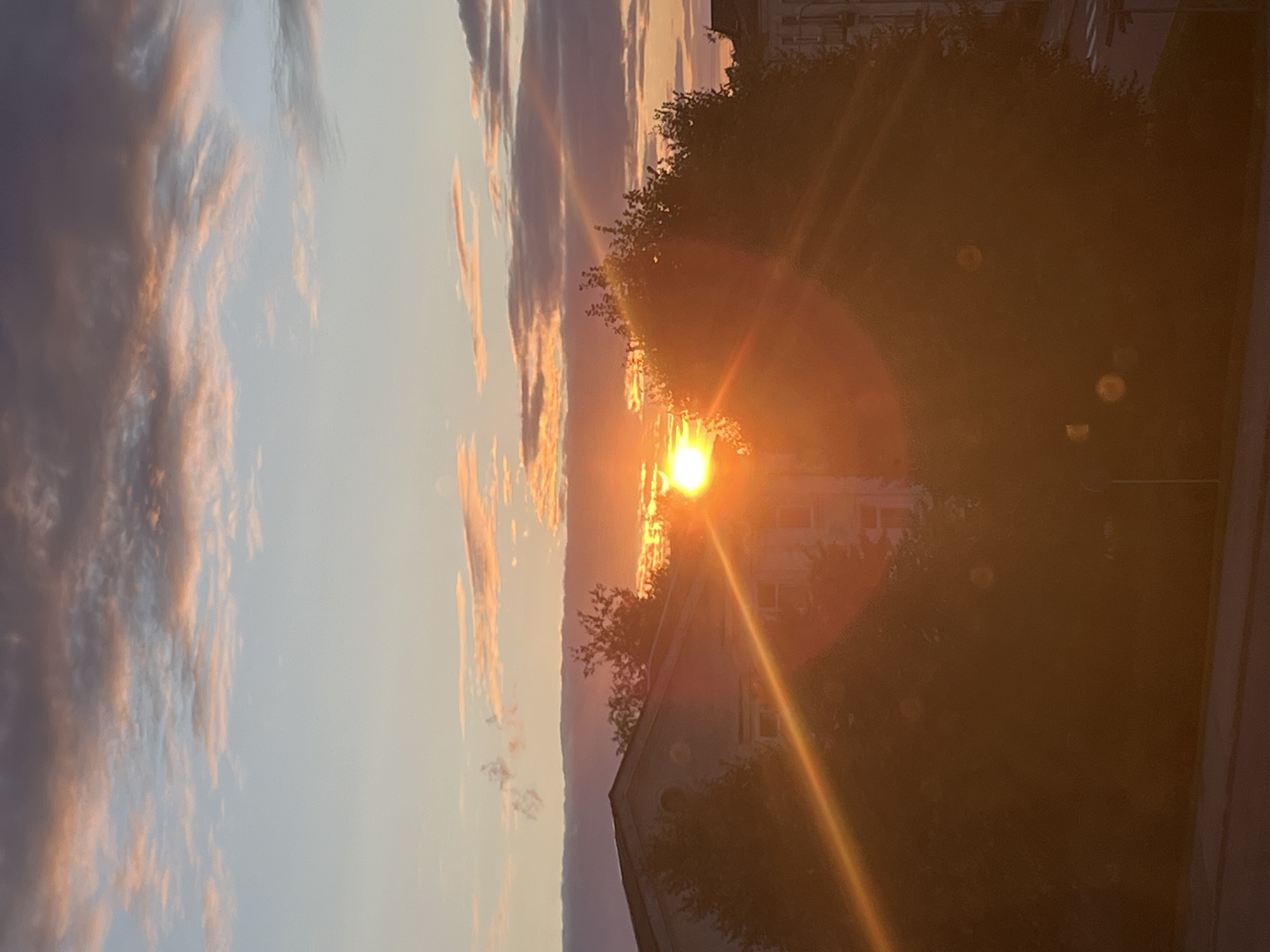 The image captures a sunset over an urban environment in Kohtla-Järve, Estonia. The sun, a bright orb emitting a strong orange glow and lens flare, is positioned centrally in the frame, partially obscured by the branches of trees and the roofline of a building. The sky is a canvas of soft blues and pinks, with clouds tinged with orange and purple hues, indicative of the twilight period.
In the foreground, silhouetted trees are prominent, their foliage dense and dark against the bright sky. A portion of a building, likely residential with visible windows, is visible behind the trees, its roof a light color. Another building, taller and more distant, can be seen on the right side of the image. The lower part of the image shows a street or pavement area, with a muted color palette due to the low light and the dominant sunset colors. There are no people or animals visible in the scene. The overall impression is one of a calm, natural spectacle unfolding in a built-up area.