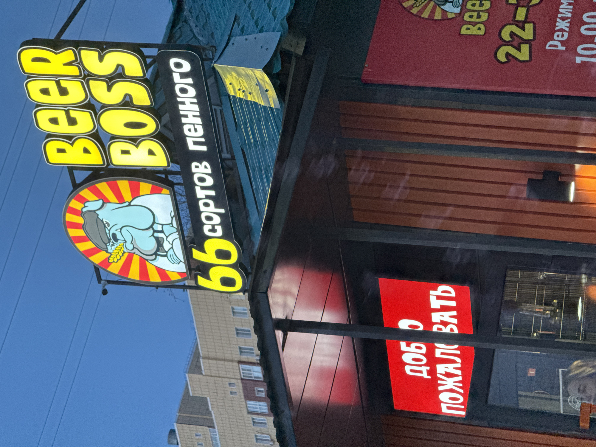 The image depicts an outdoor shot of a "Beer Boss" establishment in Nizhnevartovsk, Russia. The primary focus is the illuminated signage of the beer store. "BEER BOSS" is stacked vertically in large, bright yellow letters. Below this, a circular graphic features a blue cartoon character with what appears to be wheat stalks. To the right, "66 сортов пенного" is displayed in yellow numbers and white Cyrillic text. The sign is mounted on a dark building facade with a glimpse of the building's interior visible through the glass windows. A red sign is visible in the windows with Cyrillic text that translates to "Welcome". In the background, a multi-story residential building is visible. The sky is a clear blue, suggesting either early morning or late afternoon lighting.