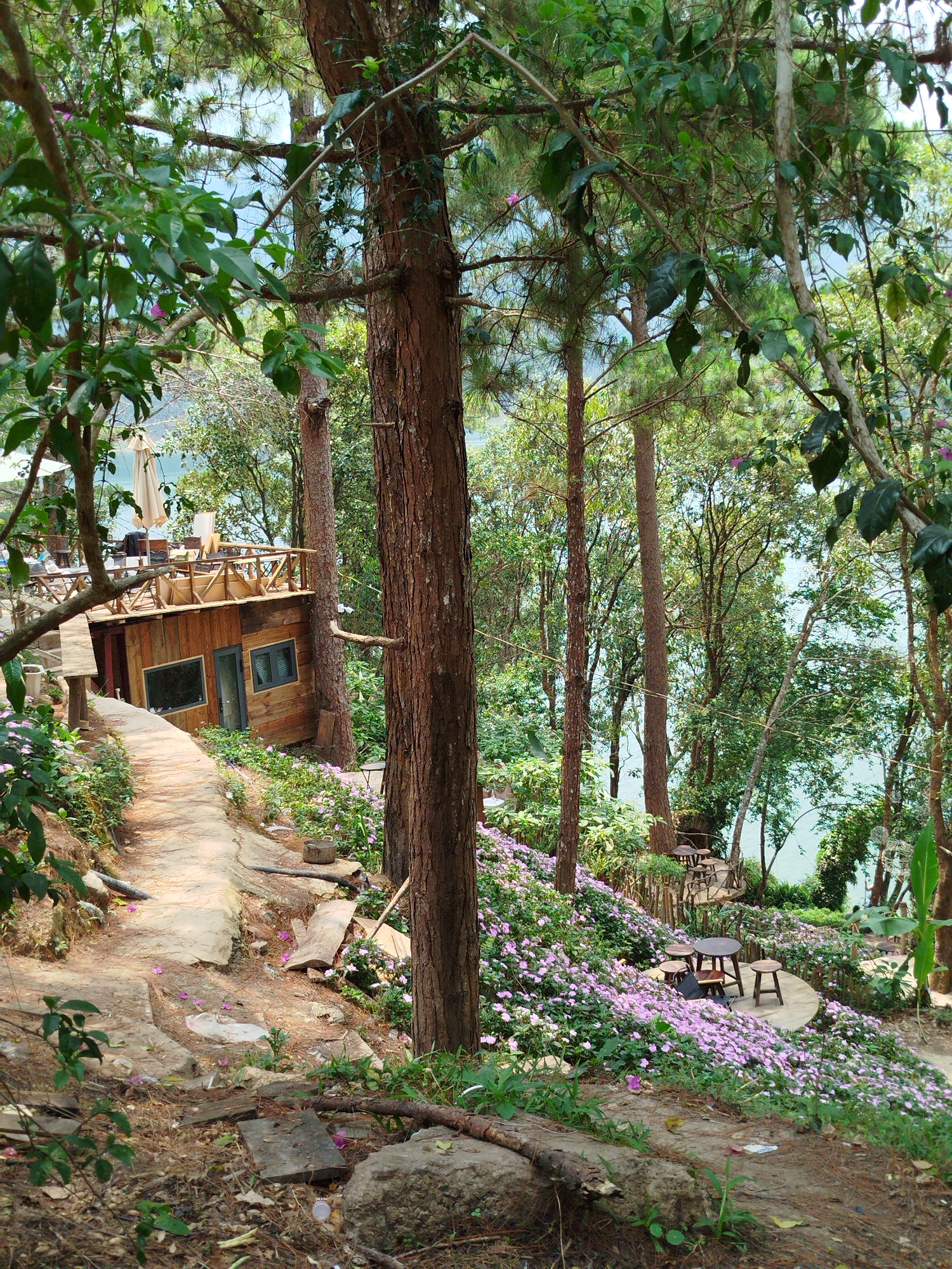 The image depicts a hillside scene in Da Lat, Vietnam. A winding concrete path leads past a wooden building with a deck, situated to the left. The hillside is covered in purple flowers, with trees interspersed throughout. In the foreground, there's a rocky, dirt area with fallen leaves and debris. Further up the slope, a circular seating area with a table and stools is visible, surrounded by more flowers. In the background, through the trees, a body of water is partially visible. The scene has a natural, wooded ambiance with signs of man-made structures and paths.