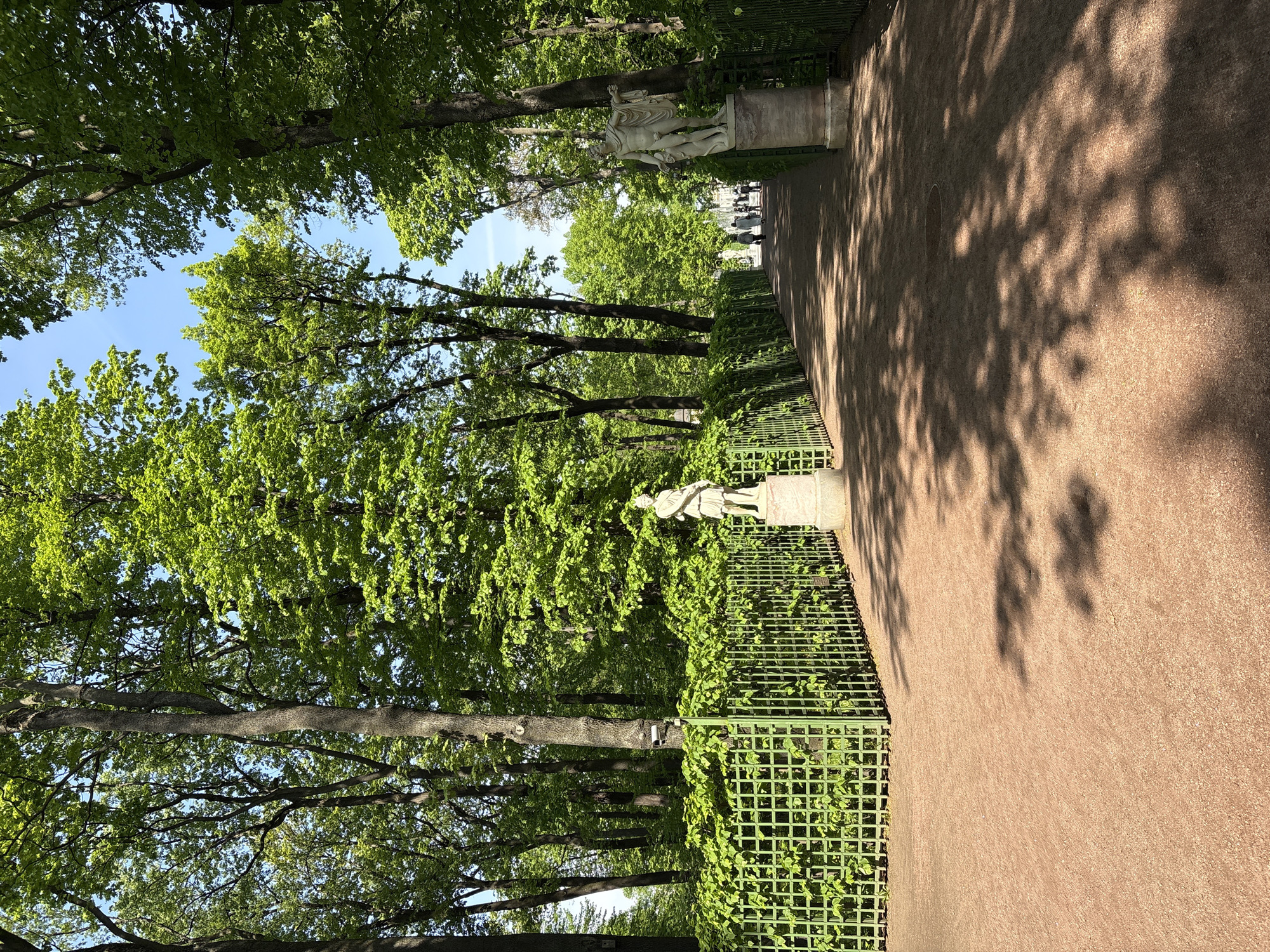 The image shows a walkway in a park in Saint Petersburg, Russia. On either side of the walkway are green metal fences with climbing vegetation. Beyond the fences are lush green trees, with a glimpse of blue sky visible through the canopy. Statues are situated along the walkway. Shadows from the trees fall across the walkway. Some people are faintly visible in the distance.