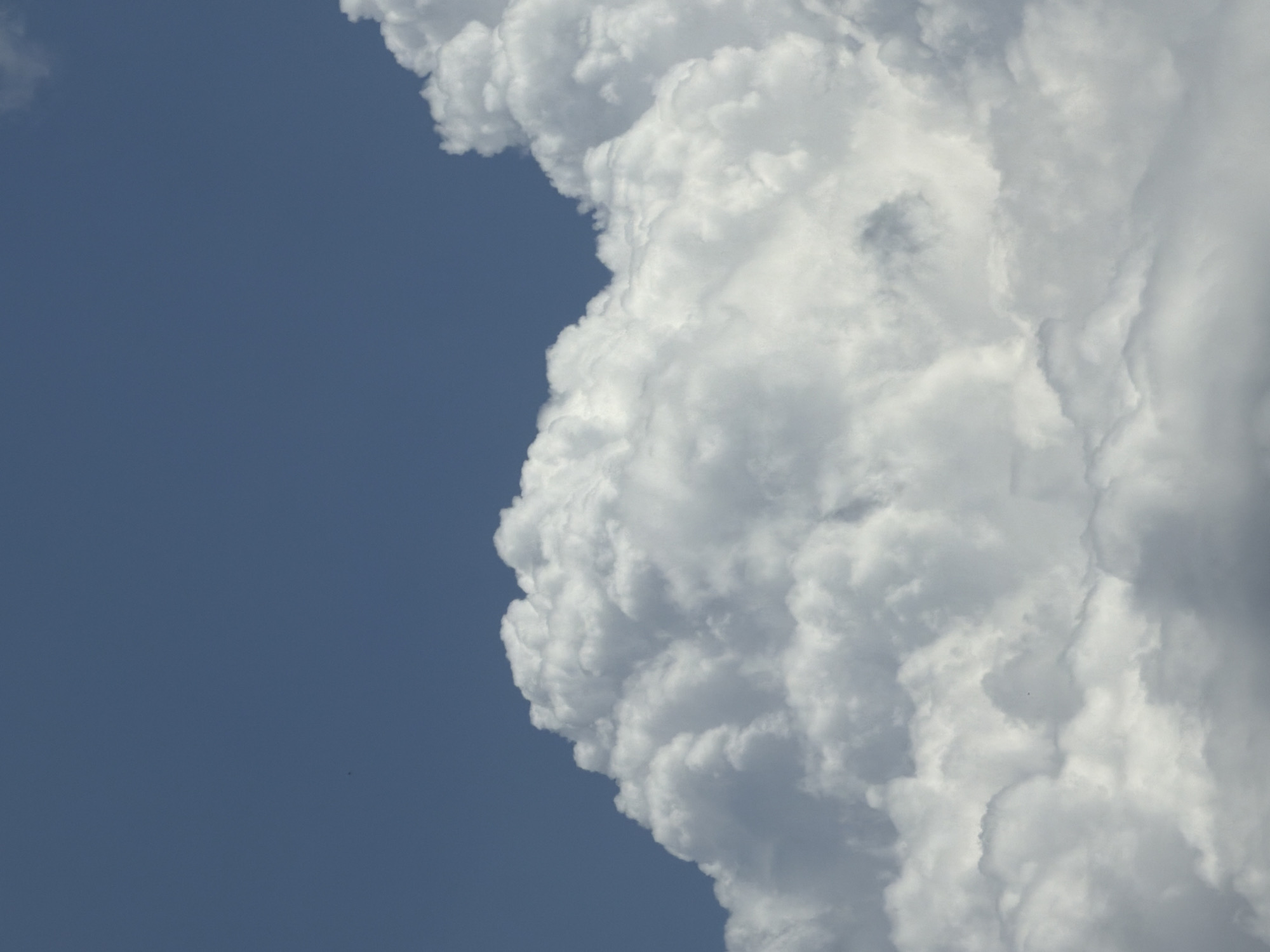 A full-frame, high-angle medium shot captures a vast expanse of sky and clouds. The upper portion of the image is dominated by a deep, clear blue sky, suggesting fair weather. Below this, a dense formation of fluffy white cumulus clouds fills the majority of the frame. The clouds exhibit intricate textures and shadows, indicating a dynamic interplay of light. The composition is devoid of any specific landmarks or discernible features that would allow for precise geographical identification within Bishkek City, Kyrgyzstan, or any other urban location. The image focuses solely on the natural atmospheric elements of sky and cloud formations.