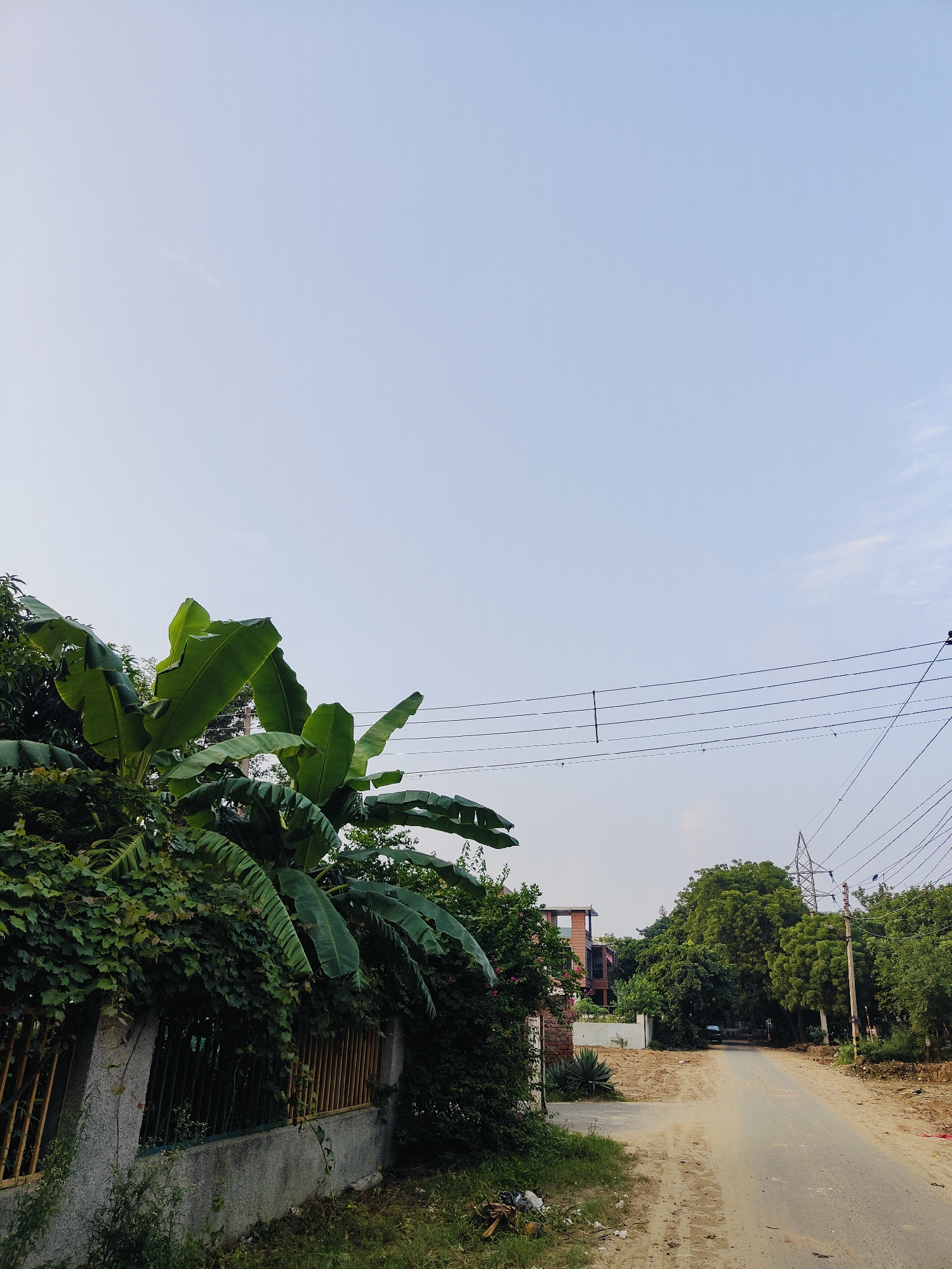The image depicts a street scene in Gurgaon, India. On the left, a concrete wall with a yellow metal fence is covered in dense green foliage, including large banana leaves and a sprawling vine. Beyond the foliage, a modern, multi-story brick building with large windows is partially visible. The street itself is unpaved and dusty, with tire tracks visible. Lush green trees line the right side of the street, and electrical poles and power lines stretch across the sky. In the distance, a single dark-colored car is parked on the side of the road. The sky is a pale blue with a few faint clouds. The overall impression is one of a semi-urban or suburban area with significant natural greenery.