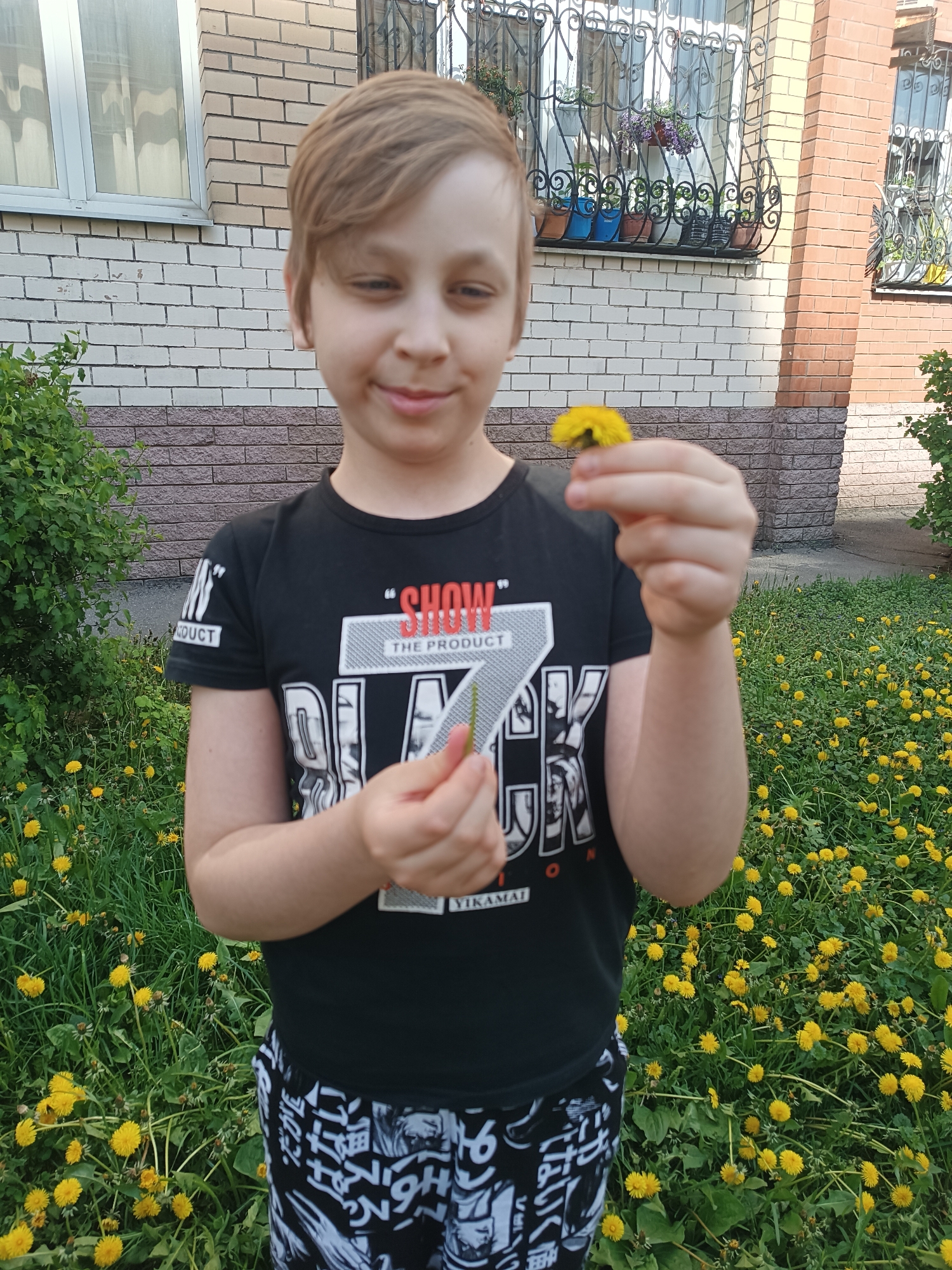 A fair-skinned, light-haired young boy is holding a dandelion in each hand, standing in a field of dandelions on a sunny day. He is wearing a black t-shirt with white graphics and black and white patterned shorts. Behind the boy is a two-story brick building with windows that have black wrought iron bars. There are potted plants on the window sills. There are bushes and other greenery around the perimeter of the building. The location is the city of Unknown, Unknown.