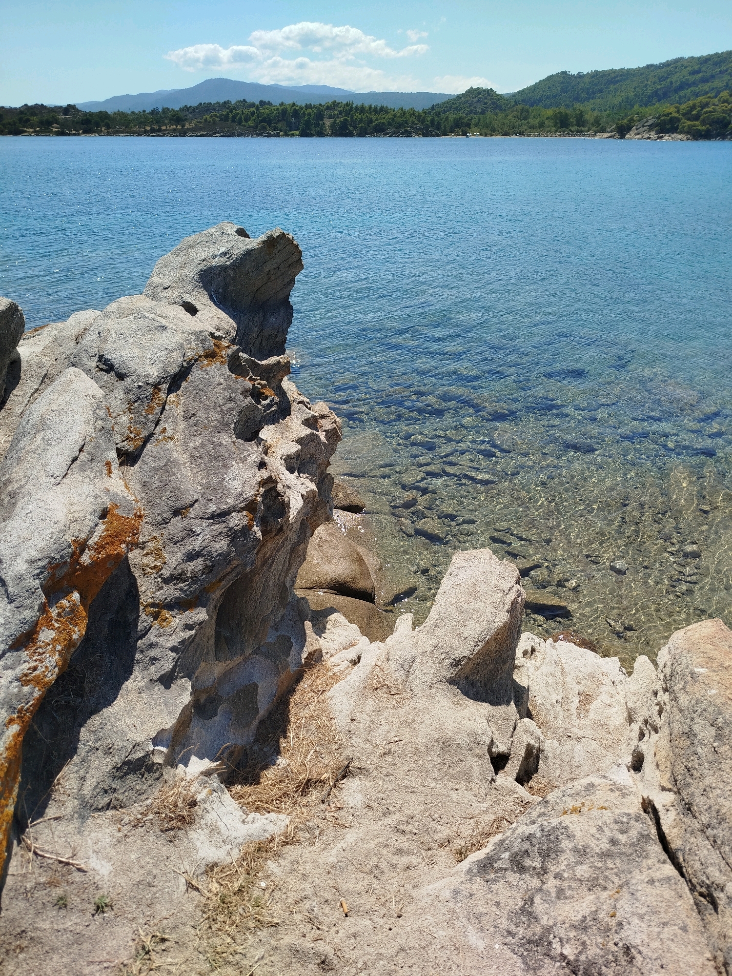 A sunny day in Sithonia Municipal Unit, Greece, features a picturesque view of the Aegean Sea and its rocky shoreline. In the foreground, large, textured gray rocks with patches of orange lichen are prominent, leading down to the crystal-clear water. The sea is calm and shallow near the shore, revealing a bed of submerged stones that are illuminated by the sunlight filtering through the water. In the background, a verdant coastline with trees and hills stretches across the horizon, under a bright blue sky dotted with white, fluffy clouds. The overall scene is one of natural beauty and tranquility.