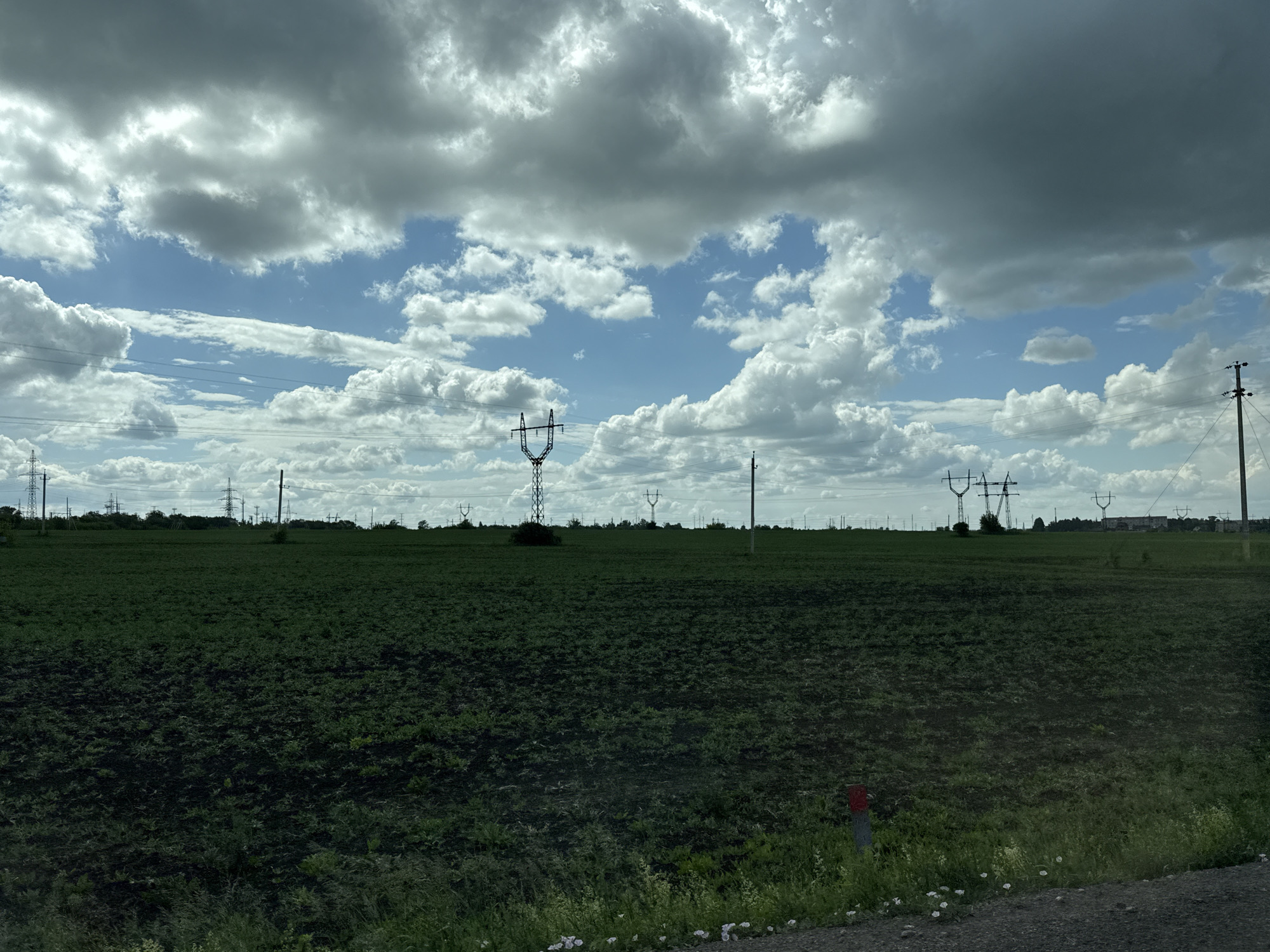 The image depicts a wide, dark green agricultural field under a dramatic, cloudy sky. Numerous electricity pylons, characteristic of a rural or semi-rural landscape, are scattered across the horizon, some clustered together and others standing alone. The field appears to be recently tilled or planted, with some areas showing darker, moister soil and others with sparser vegetation. In the foreground, the edge of a gravel road is visible, with a small patch of green grass and a few white flowers. A red and grey marker post is also present near the road's edge. The overall impression is of a vast, open landscape with infrastructure for power transmission. The location is identified as the city of Subkhankulovo, Russia. There are no people visible in the image.