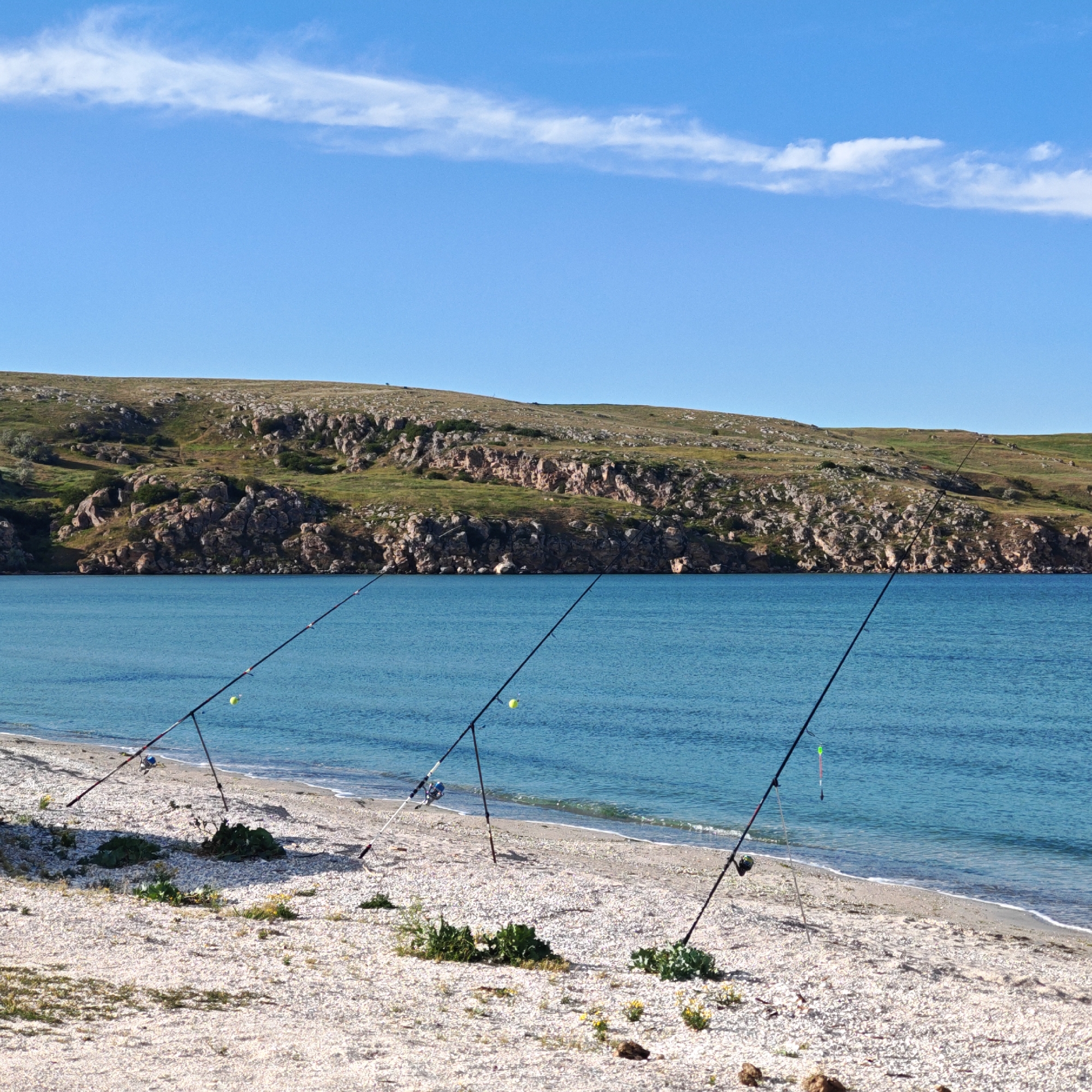 The image shows a seascape, likely taken on a beach. Three fishing rods are set up on the shore, pointing out toward the water. The beach is composed of light-colored sand or small shells, with patches of green vegetation. The water is a clear turquoise-blue, with gentle waves reaching the shore. In the background, a hilly landmass is visible, covered in sparse green vegetation and rocky outcrops. The sky is blue with a few scattered white clouds.
