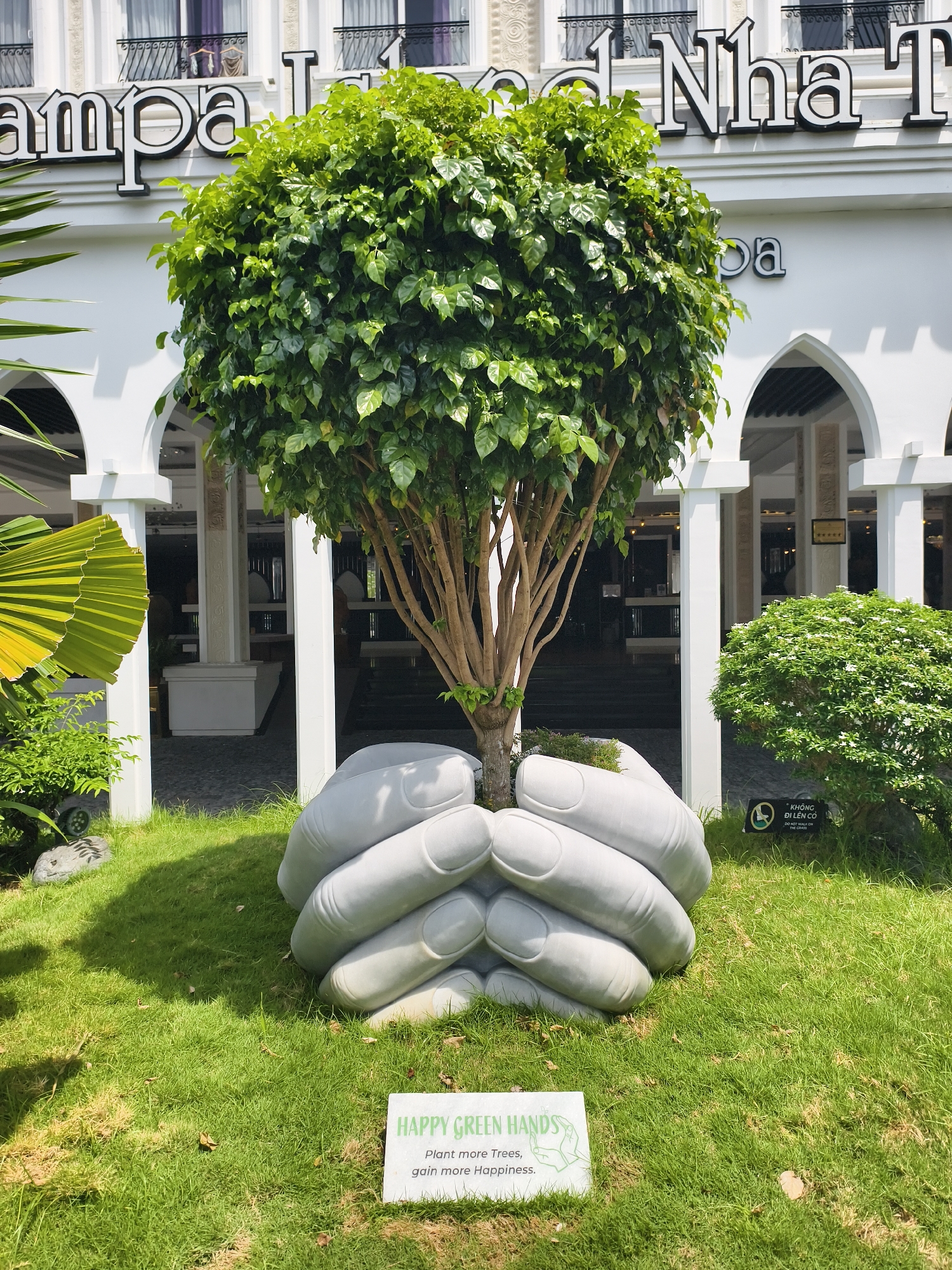 The image captures a public display of a tree in a pair of sculpted, gray hands, located in Nha Trang, Vietnam. The tree, with its dense canopy of green leaves and a multiple trunk structure, is centrally positioned. It appears to be cradled by the sculpted hands, which are positioned on a grassy lawn.
In the foreground, a small sign reads "HAPPY GREEN HANDS, Plant more Trees, gain more Happiness." This suggests an environmental message promoting tree planting. Behind the tree display, the architectural backdrop is a white building with arched doorways and decorative elements. A portion of the building's sign, "ampa land Nha T spa" is visible.
To the left of the tree, a portion of a palm frond is visible, adding to the tropical setting. To the right, a rounded bush is present. Additionally, a sign is visible behind the rounded bush, reading "*KHÔNG ĐI LÊN CÓ."