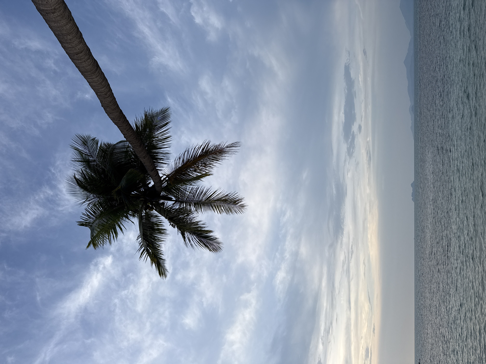 This is a low-angle, upward-looking photograph taken in the Ko Samui District of Thailand. A palm tree trunk extends diagonally across the upper portion of the frame, from the upper right to the center left, against a sky filled with wispy clouds. The fronds of the palm tree are visible in the upper left corner. Below the sky, the ocean stretches horizontally across the lower half of the image. The water is a deep blue-gray and shows gentle ripples. In the distance, along the horizon, several islands with mountainous silhouettes are visible. A small boat can be seen on the far left of the water. The overall lighting suggests either early morning or late evening.