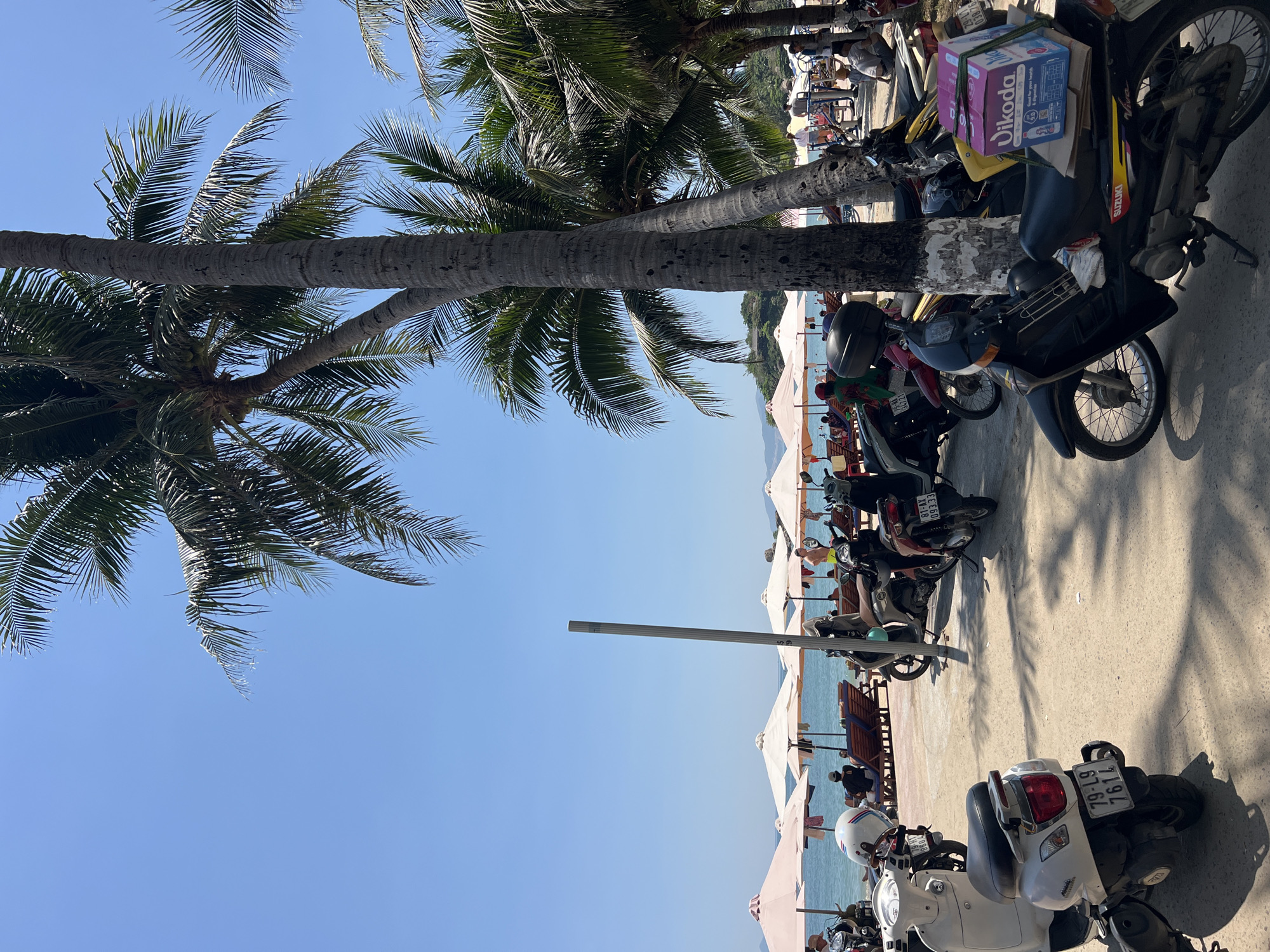 The scene depicts a sunny day in Bắc Nha Trang, Vietnam, along a beachside area lined with palm trees. A row of parked motorbikes, various colors and models, occupies the right side of the image. Beyond the motorbikes, white beach umbrellas shade beachgoers seated on lounge chairs. The sea and a distant mountain range are visible in the background. A white utility pole stands vertically in the scene. The sky is a clear, bright blue.