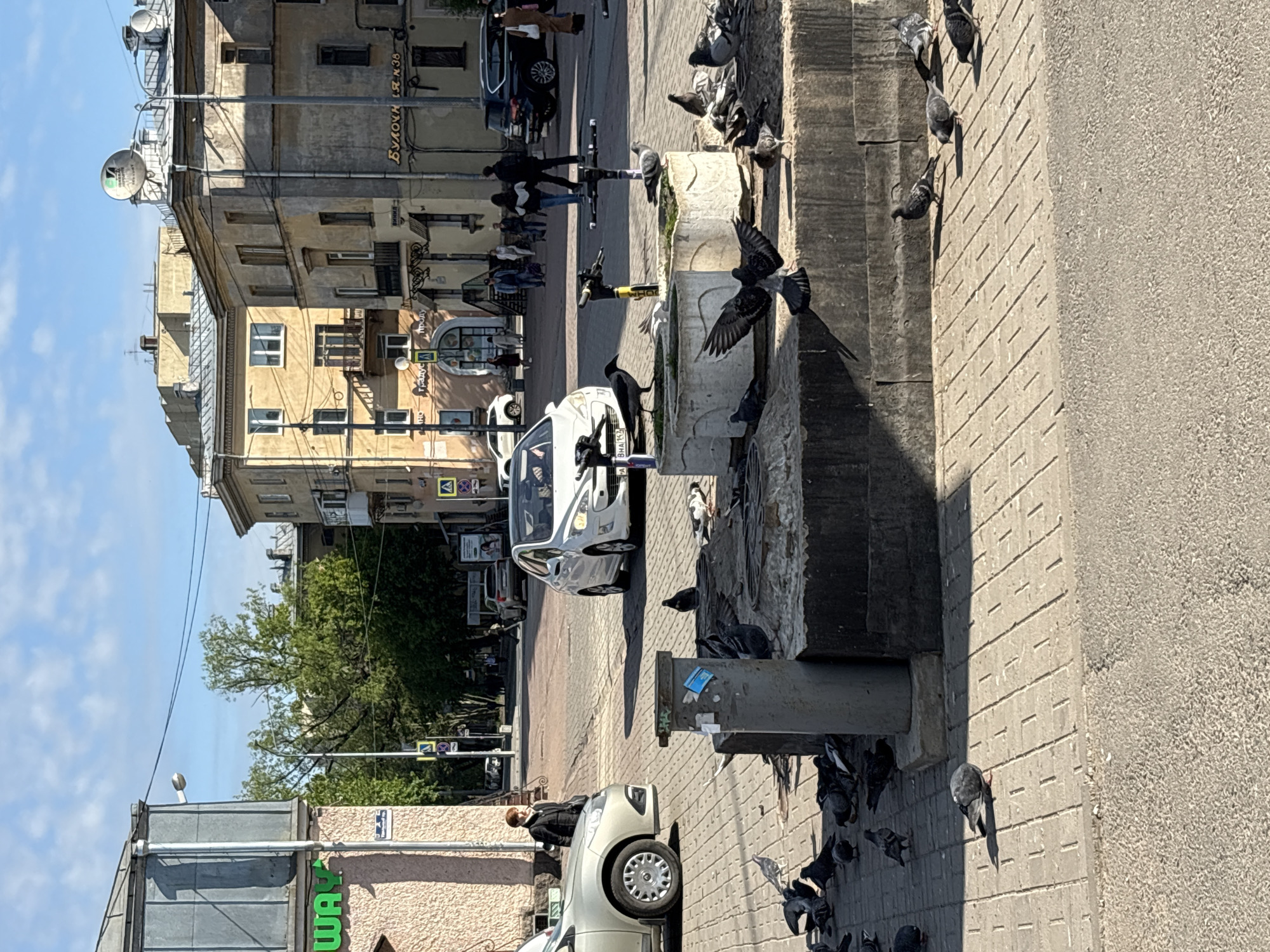 This image captures a vibrant street scene in Saint Petersburg, Russia, under clear, sunny daytime conditions. The perspective is slightly elevated, looking down a city street lined with multi-story buildings.
In the foreground and midground, a wide sidewalk occupies the right side of the frame, populated by numerous pigeons. These birds are gathered around two worn concrete structures, possibly planters or barriers, with several perched, others on the ground, and one captured mid-flight with outstretched wings. A black bird, possibly a crow, is also visible among the pigeons. On the sidewalk, a few pedestrians are seen walking. One person in a dark jacket stands beside a light-colored car.
The street itself features a road with parked or waiting vehicles, including a white car and another lighter-colored car. Several parked scooters are also visible along the sidewalk. Beyond the immediate street, trees with green foliage line parts of the street, and more buildings stretch into the background.
The buildings on the left side of the street showcase older urban architecture. Visible text on one of these buildings reads "БУЛОЧНАЯ N38" (Bakery No. 38), indicating a commercial establishment. Another partially visible sign for "Subway" (the fast-food chain) is seen on a green background at the bottom left. On a shop window, the Cyrillic word "ПРОДА" (likely part of "ПРОДАЖА" meaning "for sale") is visible. Various street signs, including a pedestrian crossing sign, are also scattered throughout the scene. The bright sunlight casts distinct shadows, highlighting the textures of the buildings and concrete surfaces.