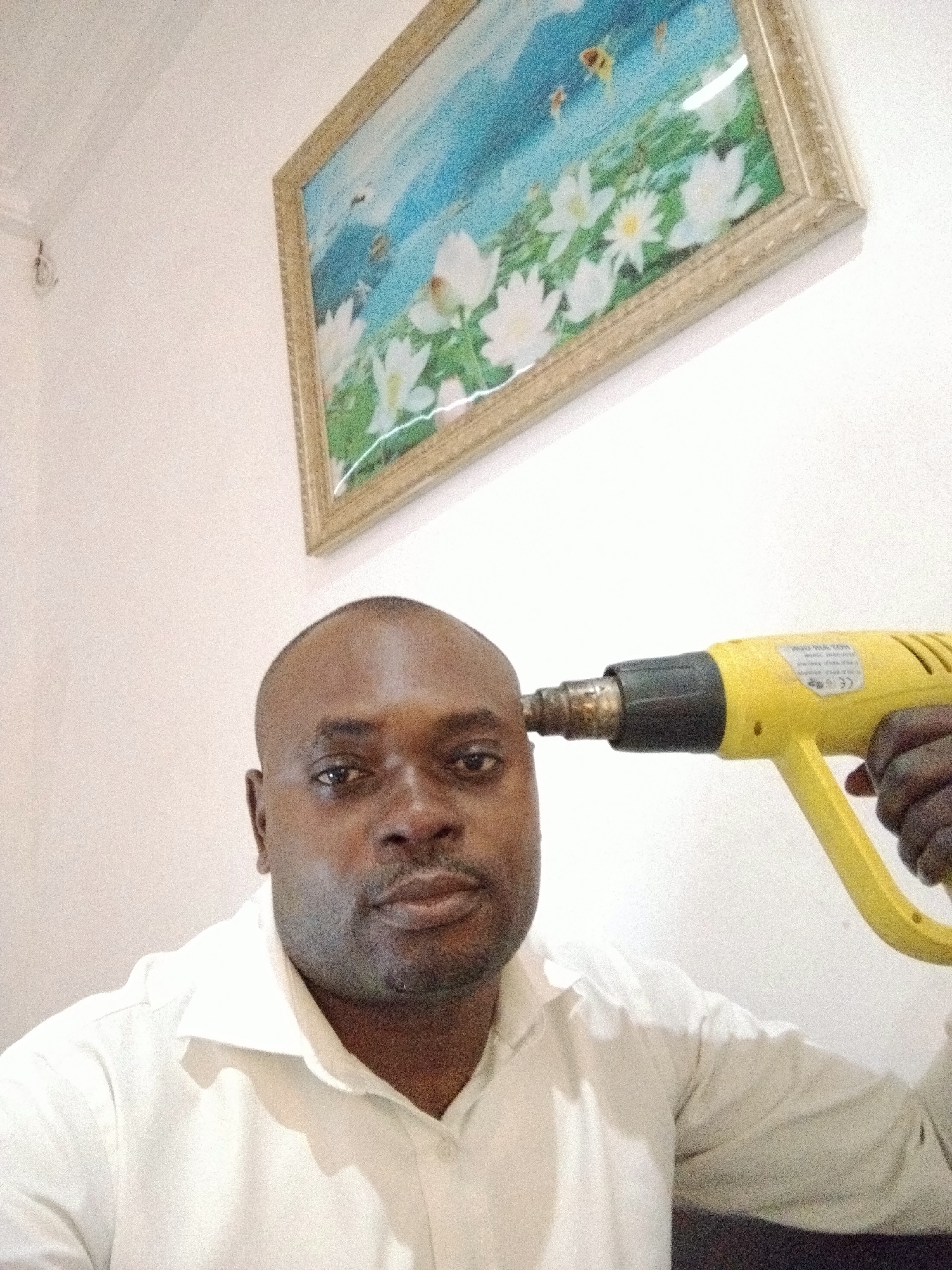 A man is depicted indoors, likely in Gwarinpa, Nigeria, against a plain, light-colored wall. He is shown from the chest up, with a shaved head and a light beard or stubble, wearing a white collared shirt. He holds a bright yellow heat gun against his right temple, creating a visual pun or a dramatic, possibly humorous, pose. His facial expression is neutral and calm.
In the upper right portion of the background, a framed picture is hanging on the wall. The artwork features a serene landscape with white, lotus-like flowers and green foliage at the bottom, beneath a clear blue sky that includes some yellow, abstract elements, possibly bees or butterflies. The frame is light gold with decorative detailing.
The heat gun has a black nozzle and handle. On its side, a label with black text on a yellow background is visible. Key text elements discernable include "HOT AIR GUN" and the "CE" marking, indicating conformity with European safety standards. Other smaller lines of text and symbols are present but are too indistinct to read precisely. The overall lighting is even, typical of an indoor setting. The wall has a slight texture or graininess visible, possibly from the image quality.