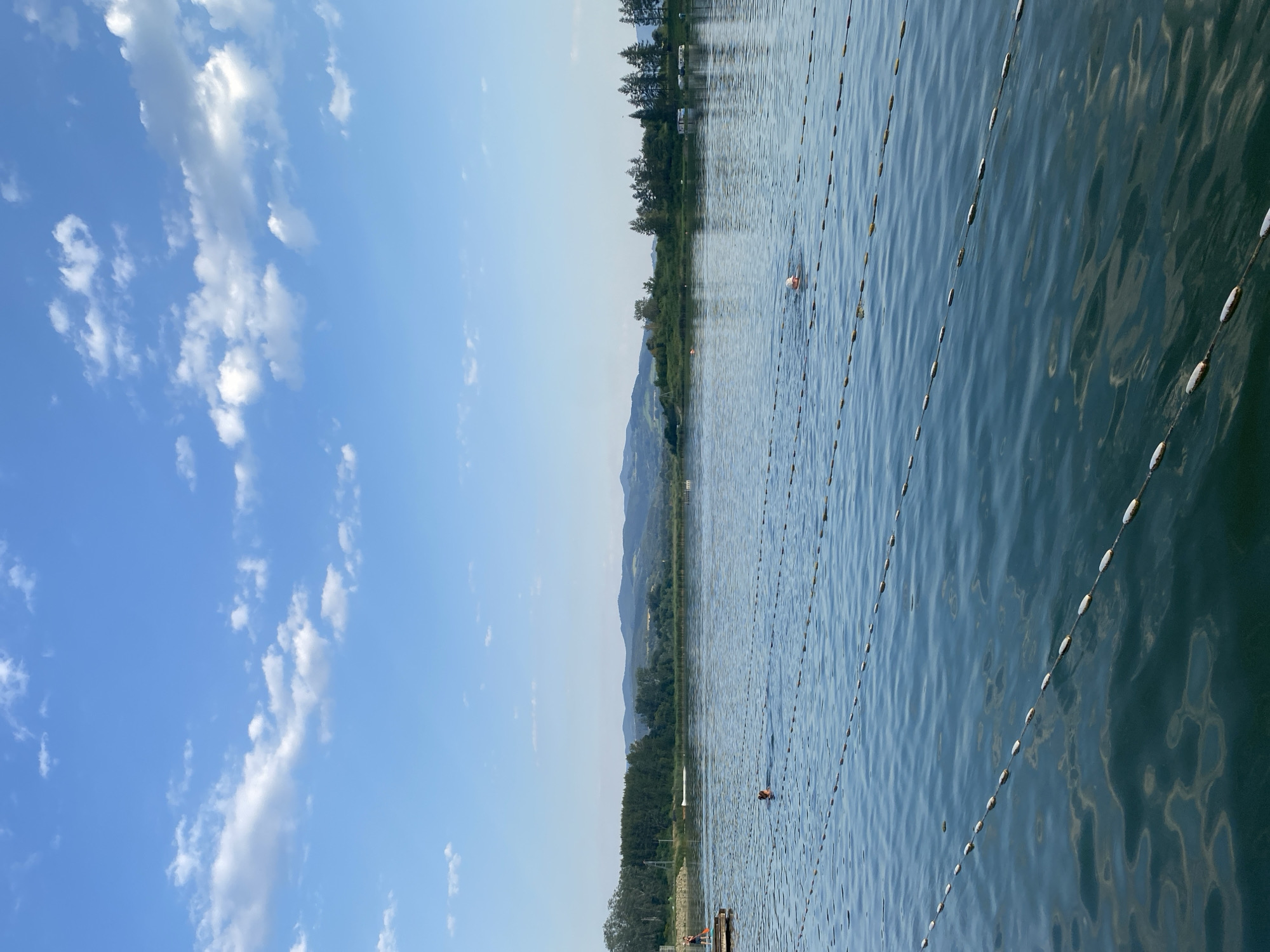 This is a vertical, eye-level, medium shot of a lake on a sunny day, with a blue sky and scattered white clouds. The water is calm and reflects the sky. Several lines of buoys or floats stretch across the water, demarcating lanes. Two people are visible swimming in the water. One person is in the left middle ground, and another is in the right middle ground. In the background, there is a shoreline with trees and rolling hills under a clear sky. A wooden dock is visible on the far left with two figures standing on it. The image appears to have been taken from a vantage point close to the water's surface, possibly from the edge of the lake or a boat. The location is identified as the beach area of the recreational lake in Stary Sącz, Poland.