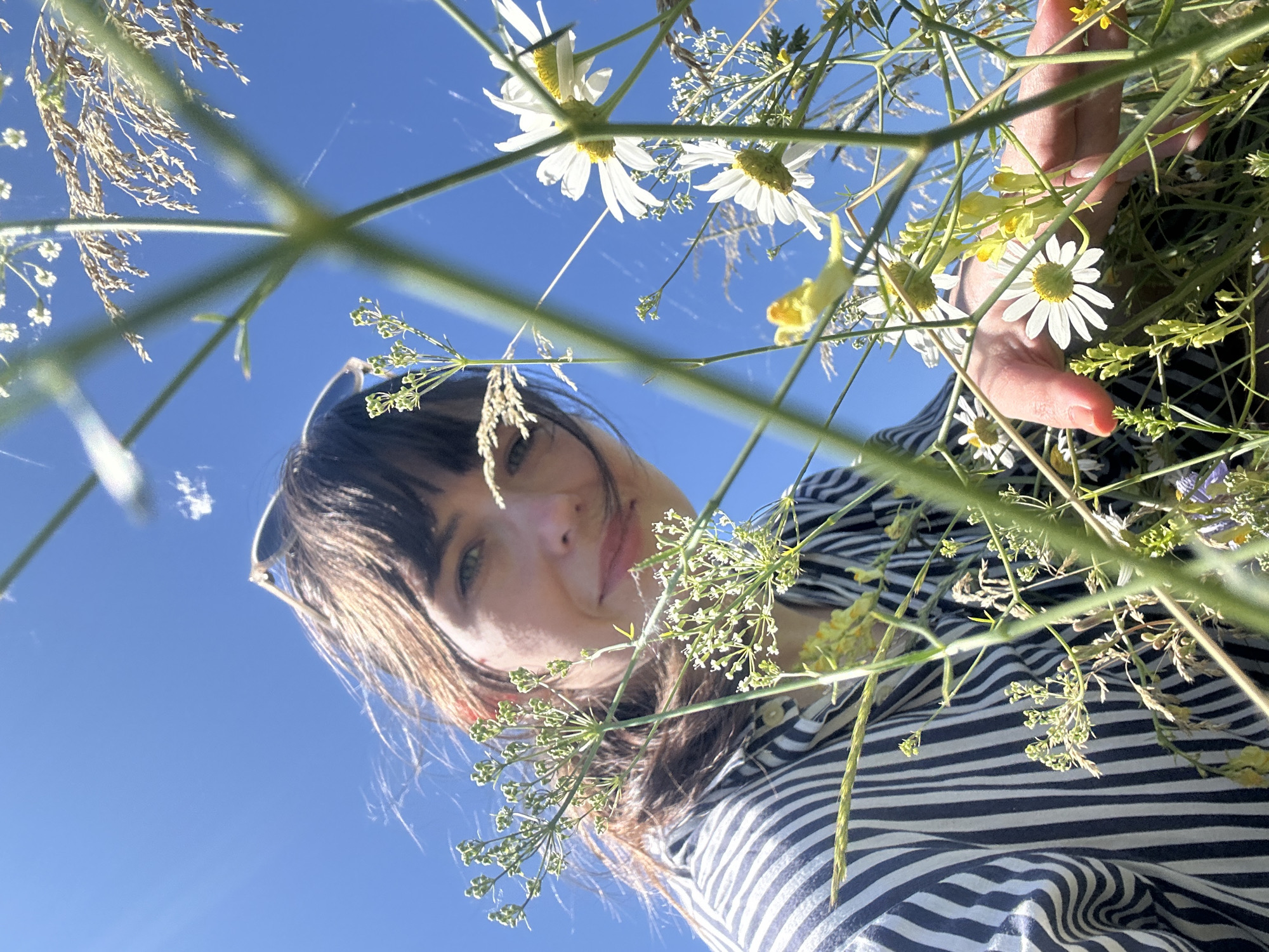 The image shows a person from a low angle, looking up at the sky and through wildflowers. The person has dark hair and bangs, and is wearing sunglasses on their head and a striped shirt. They are reaching out with their right hand towards the flowers. The background is a clear blue sky, with some wispy clouds and tall grasses. The scene appears to be outdoors, in a field or meadow. There is no specific indication of the location being in Krasnyi Yar, Russia.