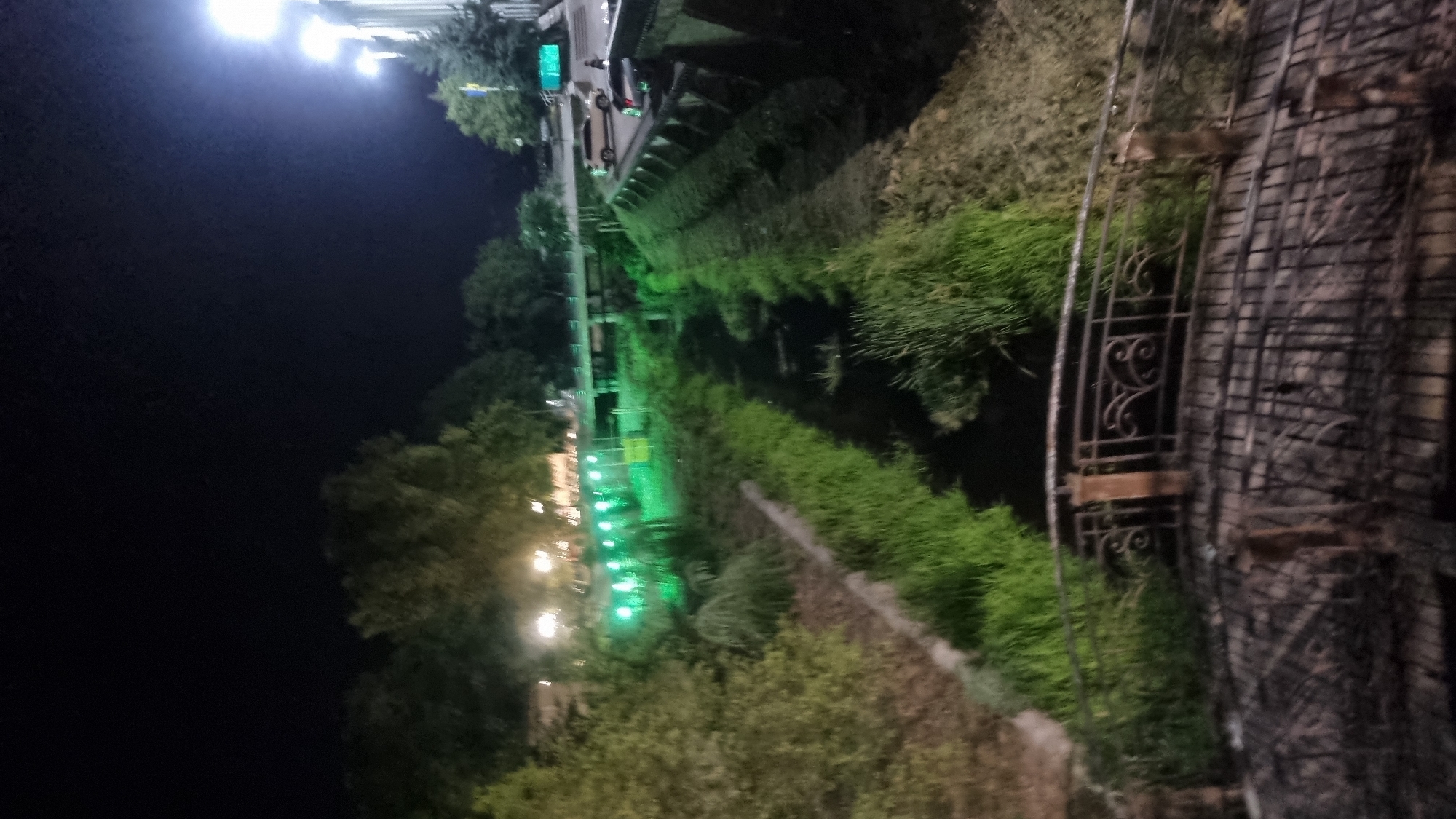 This image depicts a nighttime view of a city park or waterfront area in Berehove, Ukraine, characterized by a narrow canal or stream running through lush green vegetation. The scene is illuminated by artificial lights, including a line of green lights along the left bank of the canal and brighter lights from street lamps and buildings on the right bank. A decorative metal railing and bridge structure are visible in the foreground, partially obscuring the view of the canal. Trees and foliage line the banks, with a road and vehicles, including at least two cars, visible further in the background, suggesting an urban or semi-urban setting. The overall atmosphere is one of a well-lit public space at night.
