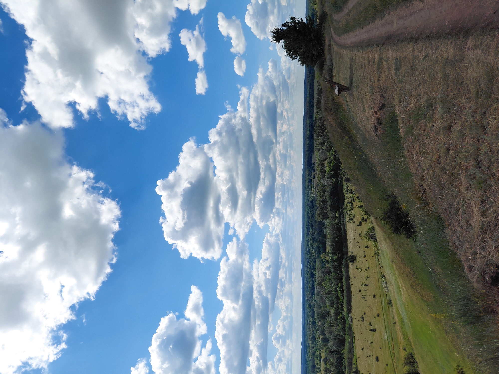 A dirt path winds uphill on the right side of the frame, curving away from the viewer. A simple wooden bench sits to the left of the path, overlooking a valley. The valley floor is a patchwork of green fields and scattered trees, with a dense forest forming the far horizon. Above, a bright blue sky is dotted with large, fluffy white clouds. The foreground is covered in dry, brown grass. The scene appears to be a natural landscape, possibly a park or a rural overlook, given the presence of the bench and path. The image evokes a sense of peace and natural beauty.