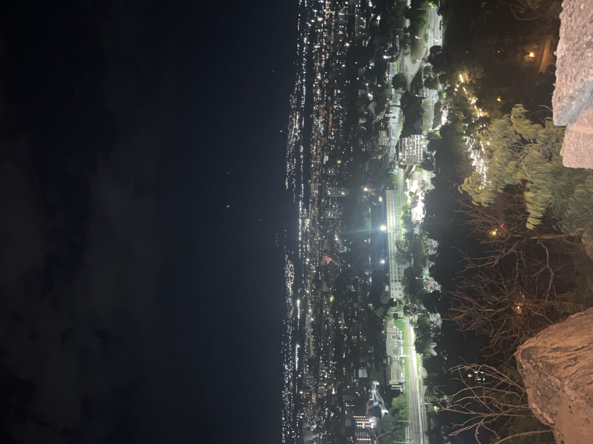 The image captures a nighttime view from a high vantage point in Plovdiv, Bulgaria. The left side of the image is dominated by a dark expanse, likely representing the night sky or a body of water. Along the horizon, a dense collection of lights indicates the urban sprawl of Plovdiv. The city lights extend into the central and right portions of the image, where the details of the urban landscape become more apparent. Buildings, streets, and green spaces are discernible, illuminated by streetlights and the lights emanating from structures. In the foreground on the right side, there is a textured stone structure and the foliage of trees and shrubs.