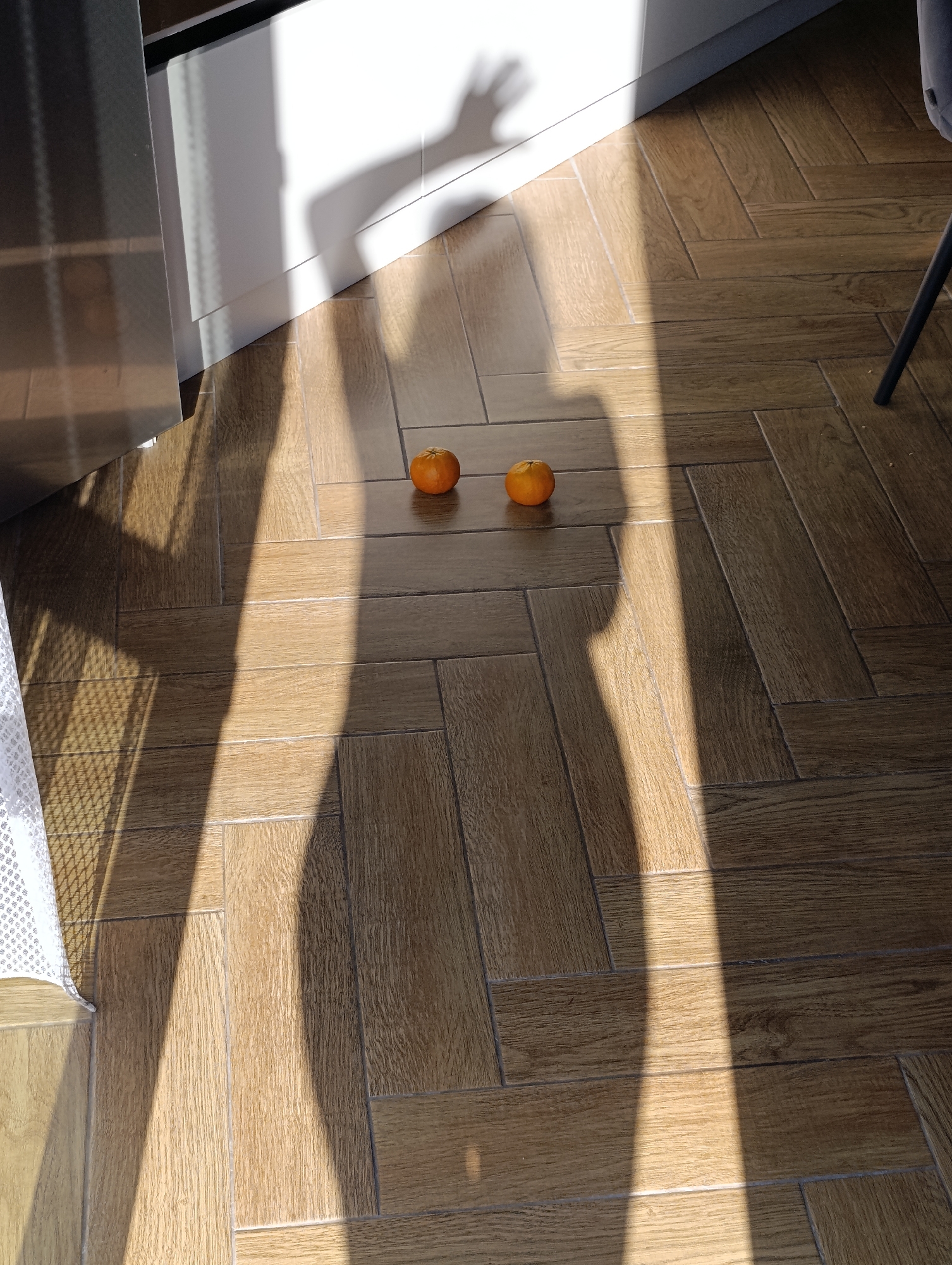 The image shows a section of a room with wooden herringbone flooring. Two tangerines are present on the floor, illuminated by a strong light creating distinct shadows. A partial shadow of a person's hand and body falls across the floor near the tangerines. A white curtain and a portion of what seems to be a kitchen cabinet are visible on the left side. A chair leg is visible on the right side. The location is assumed to be an indoor area in Chaikovsky, Russia based on external information.