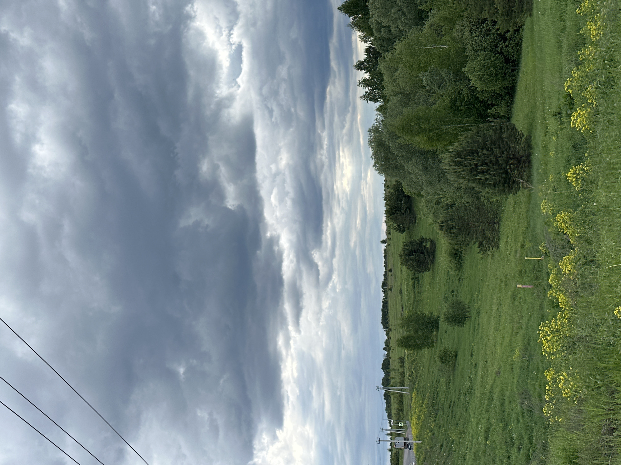 The image shows a rural scene, likely in or near the city of Эстачи, Russia. The sky is overcast with heavy, grey clouds in the left portion of the frame, with some brighter patches of white clouds towards the center. The right side of the image depicts a grassy field, with patches of green grass and sporadic yellow wildflowers. There are some small trees and shrubs scattered throughout the field, with a line of denser forest along the top edge. In the lower left corner, there are power lines visible against the cloudy sky. A utility pole structure can be seen in the lower right, alongside a road. The scene appears to be a landscape view with a mix of open field and forested areas.