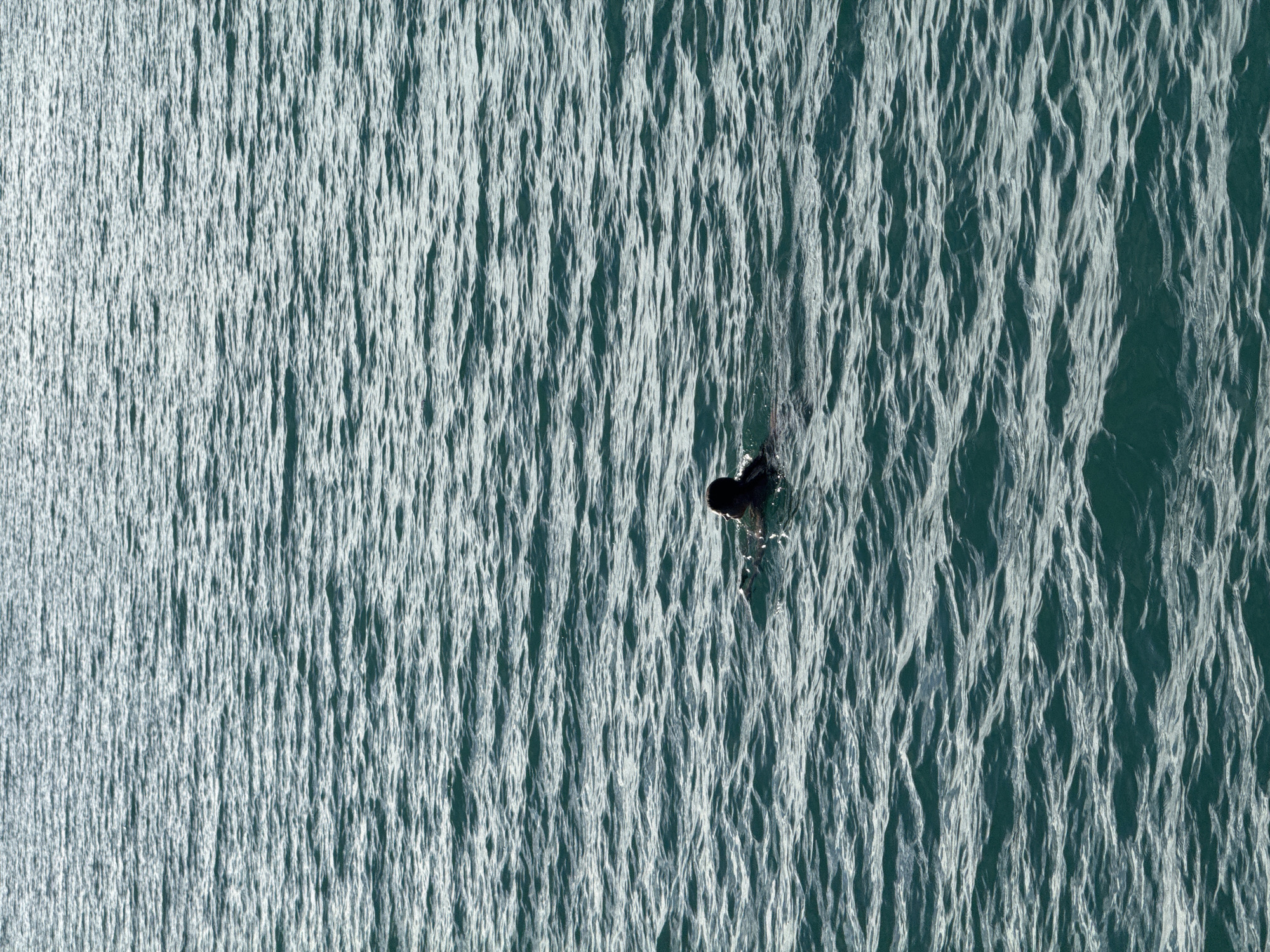 A person is swimming in the ocean, with only their head and shoulders visible above the water. The water is a deep blue-green color and appears to be slightly choppy. The sky is not visible in the image.