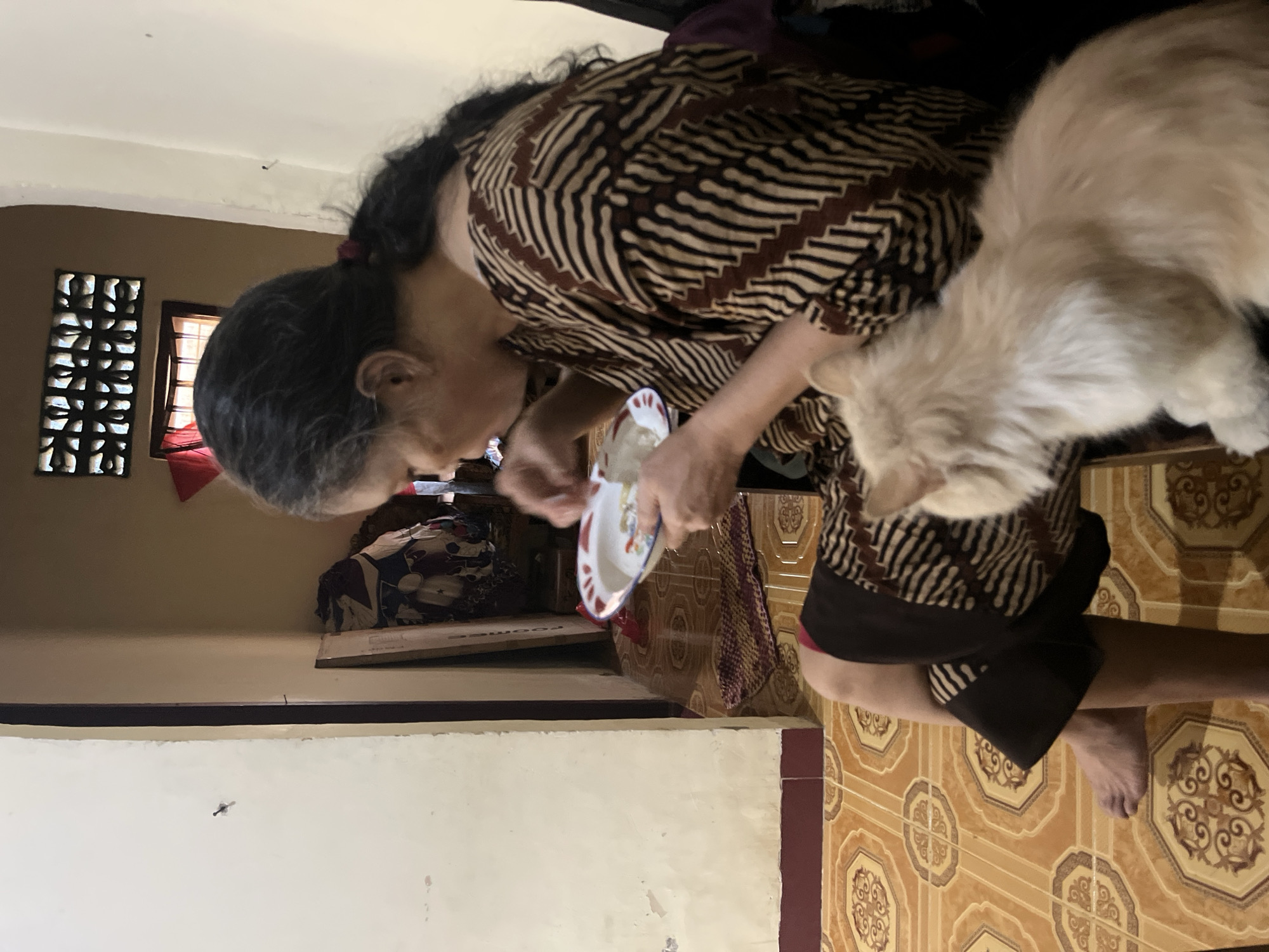A medium shot captures an elderly woman sitting on a tiled floor in what appears to be a living space within Bumi Mulyo, Indonesia. The woman, with dark hair tied back, wears a brown and white patterned batik dress. She is holding a small white plate with red trim and appears to be eating. Beside her, a fluffy, light-colored cat sits on her lap, looking away from the camera. The background reveals a room with light-colored walls, a dark wooden door frame, and a window with decorative latticework. Various items are visible in the background, including stacked cloth and what looks like a piece of furniture. The floor is covered in orange and brown patterned tiles.