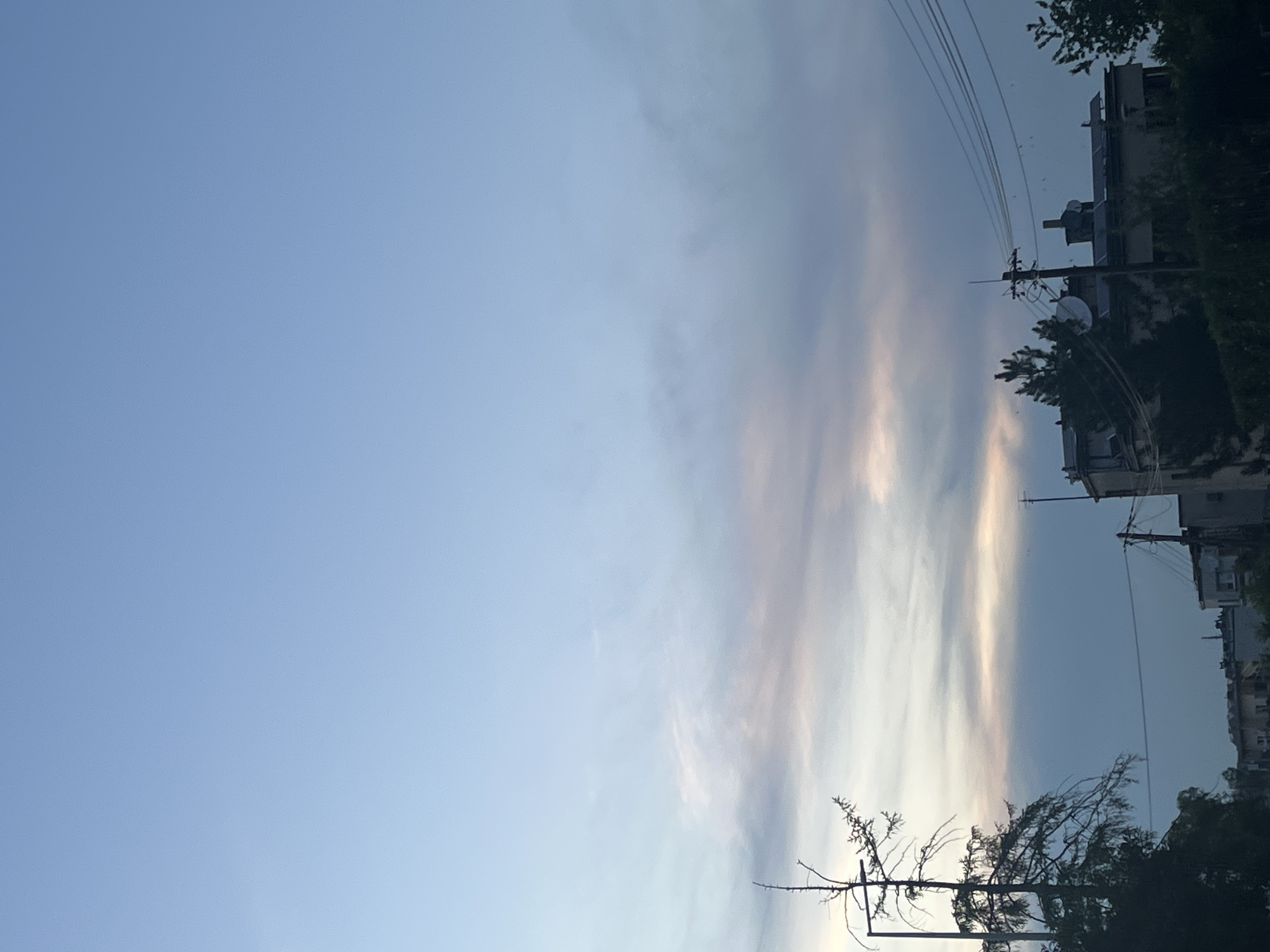 The image depicts a dusky sky with a gradient of pale blue to soft pink and gray clouds. The lower portion of the frame shows a silhouetted urban landscape with several buildings, utility poles, and trees. A prominent bare-branched tree stands to the left, its silhouette stark against the sky. In the center and right, buildings with flat roofs, some equipped with satellite dishes and solar panels, are visible. Electrical wires crisscross the scene, adding to the urban feel. The lighting suggests either dawn or dusk, with the sky being the primary illuminated element. The overall atmosphere is serene and quiet, characteristic of a transitionary time of day in a city.