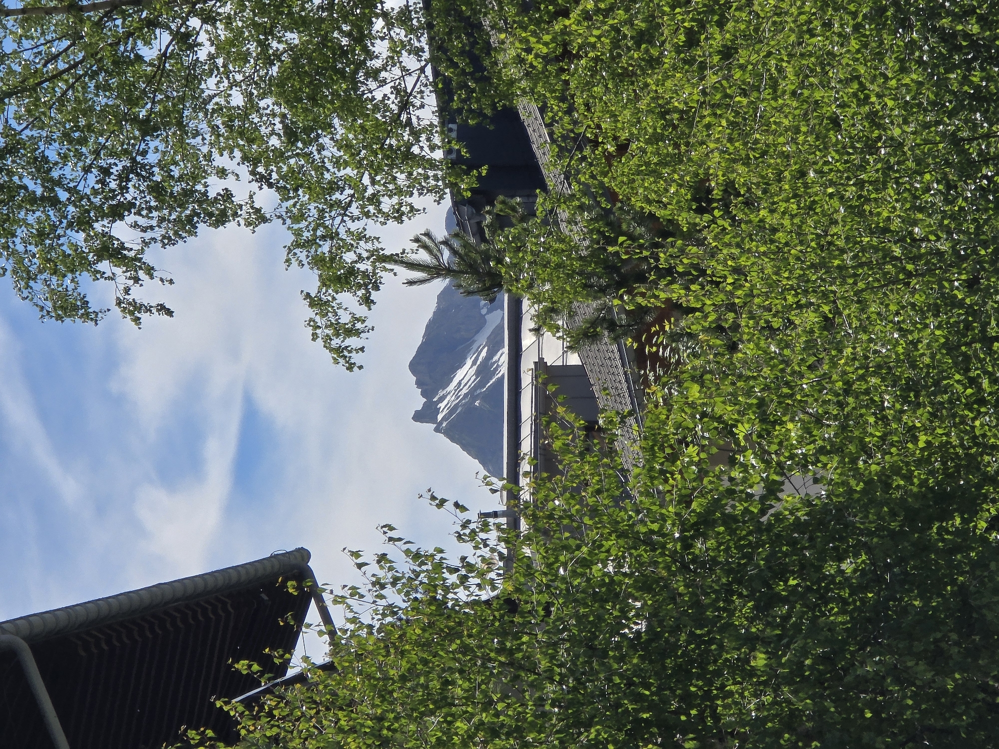 The image depicts a mountainous landscape viewed through lush green foliage, with parts of buildings visible in the foreground and mid-ground. The sky is blue with scattered white clouds. In the distance, snow-capped mountains rise majestically, their peaks sharply defined against the sky. The foreground is dominated by the dense canopy of deciduous trees, their vibrant green leaves creating a natural frame for the scene. A portion of a dark-colored roof with a gutter system is visible on the left, suggesting the presence of a structure. In the mid-ground, rooftops of other buildings, possibly a hotel or residential complex, are partially obscured by the trees. The overall impression is one of a serene natural setting with hints of human habitation. The location is identified as Lech, Austria.
