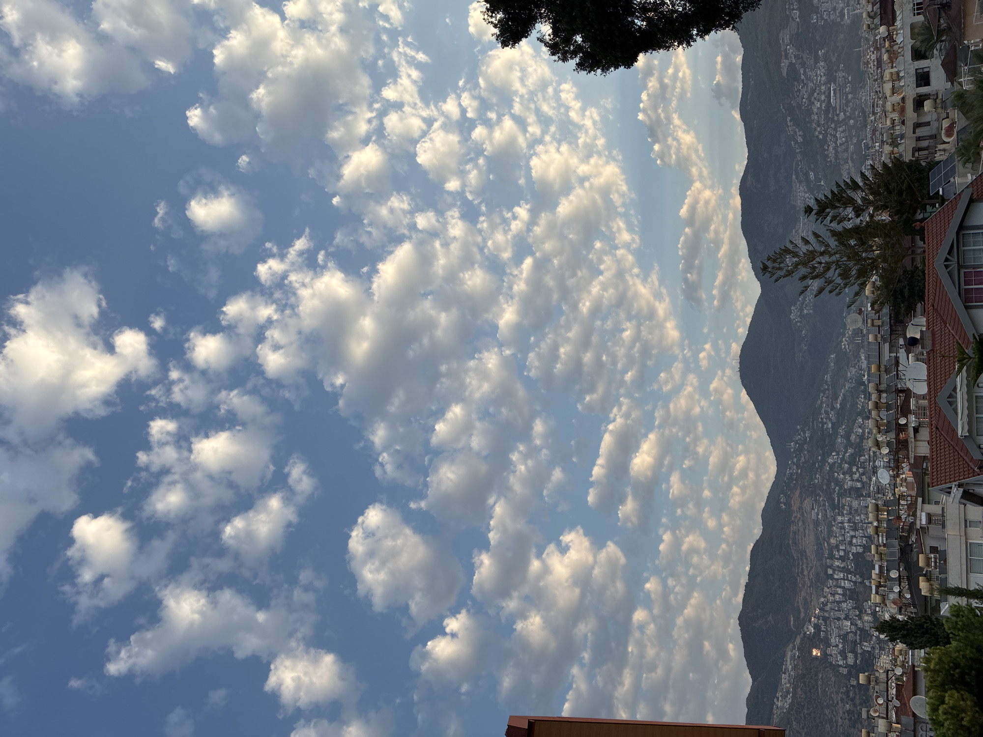 This is a photograph taken in Alanya, Turkey, showcasing a cityscape nestled at the base of rolling, tree-covered hills. The sky is a brilliant blue, dotted with numerous fluffy white clouds that are illuminated by the sun. The clouds are scattered throughout the sky, creating a dynamic and textured atmosphere.
In the foreground, the rooftops of buildings are visible. Many of these rooftops are equipped with solar water heaters, which are a common sight in Alanya. The buildings appear to be residential, with various architectural styles and tile roofing. Some trees, including what appear to be pine trees, are interspersed among the buildings, adding a touch of greenery.
The middle ground features the hills that rise behind the city. The slopes of these hills are densely populated with houses and buildings, creating a textured pattern of urban development against the natural landscape. Some of these structures are difficult to distinguish due to the distance and the similar color palette of the buildings and the terrain. A striking detail on the hillside is a patch of what appears to be bright sunlight reflecting off a window or a metal surface, creating a small, glinting square against the darker hillside.
The background is dominated by the expansive sky filled with clouds. The lighting suggests it is either morning or late afternoon, with the sun casting a warm glow on the clouds and illuminating parts of the cityscape and hills. On the far right of the image, the dark silhouette of a large tree partially obscures the view of the sky and the distant hills. On the far left, a portion of a building with a reddish-brown facade is visible, adding a vertical element to the composition.
There are no people or specific actions depicted in this image. The focus is on the panoramic view of Alanya, its relationship with the natural landscape, and the atmospheric conditions of the sky.