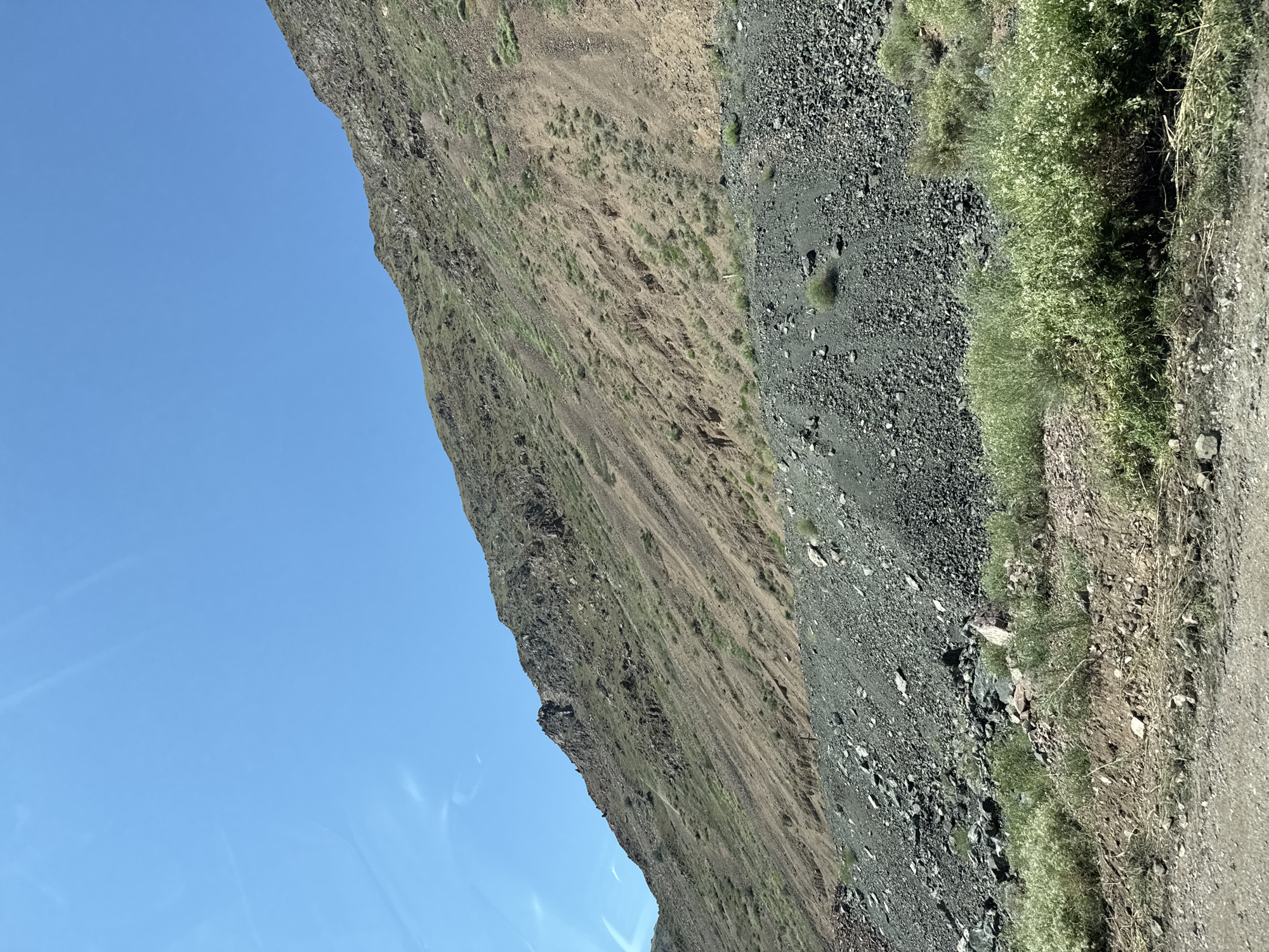The image depicts a vast, arid mountain landscape under a clear blue sky. The terrain is characterized by steep, rocky slopes with patches of sparse vegetation, predominantly low-lying scrub and grass. The foreground shows a gravelly, uneven surface, possibly a road or a dry riverbed, with more dense green bushes and dry grasses. The mountainside itself is a mix of reddish-brown earth, grey rock scree, and patches of green growth scattered across its face. The scene appears to be in a remote, undeveloped area, consistent with the natural landscape found near Krasnyy Most, Kyrgyzstan. No people or man-made structures are visible in the frame, emphasizing the natural and rugged environment.