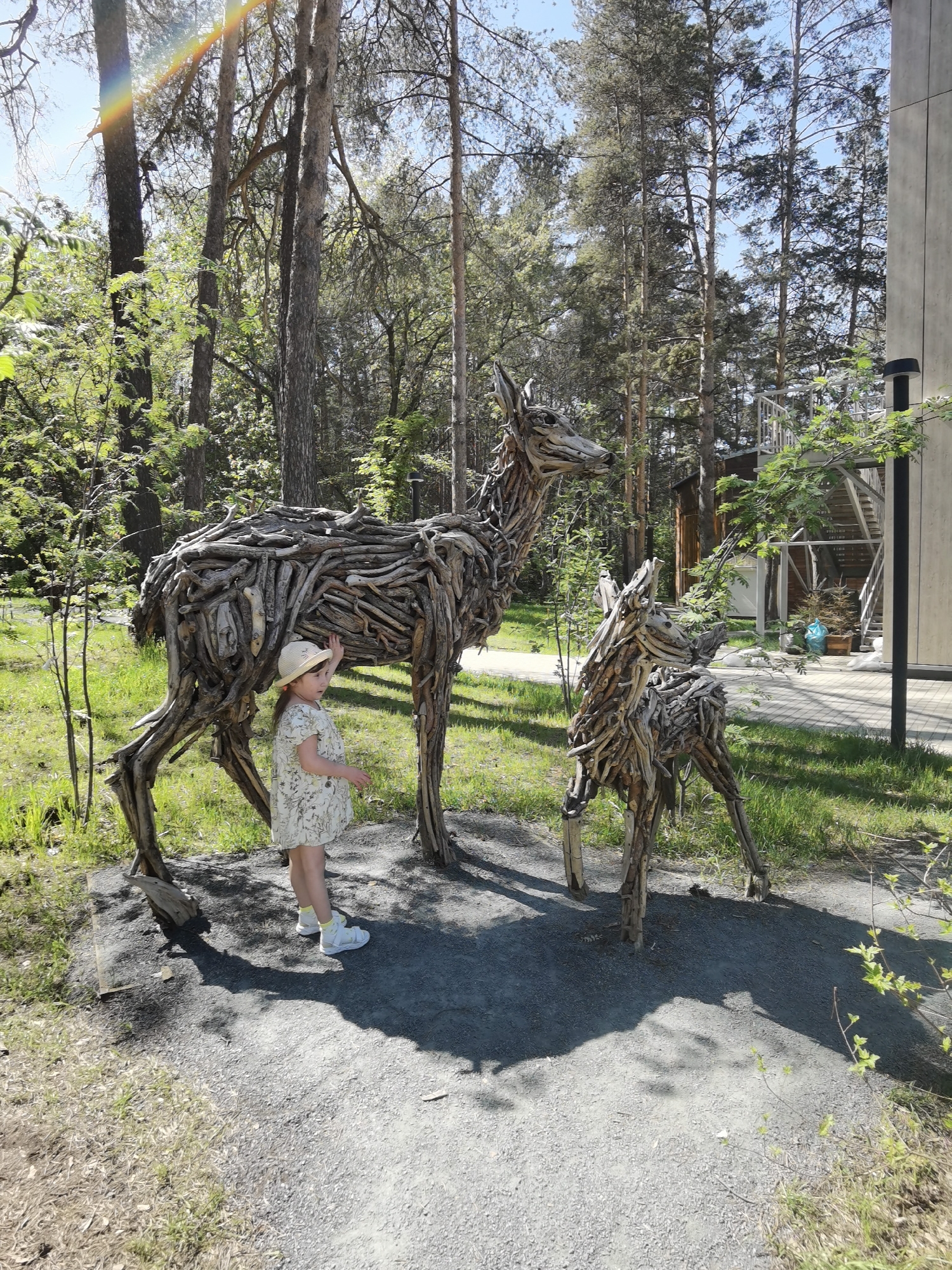 The image shows an outdoor scene in Perm, Russia. A young girl in a floral dress and straw hat stands next to a large sculpture of a deer made from driftwood. A smaller deer sculpture stands nearby. The sculptures are situated on a gravel pathway surrounded by grass and trees. A modern building with an outdoor staircase is visible in the background. The lighting is bright, suggesting a sunny day. The girl appears to be reaching out to touch the larger deer sculpture.
