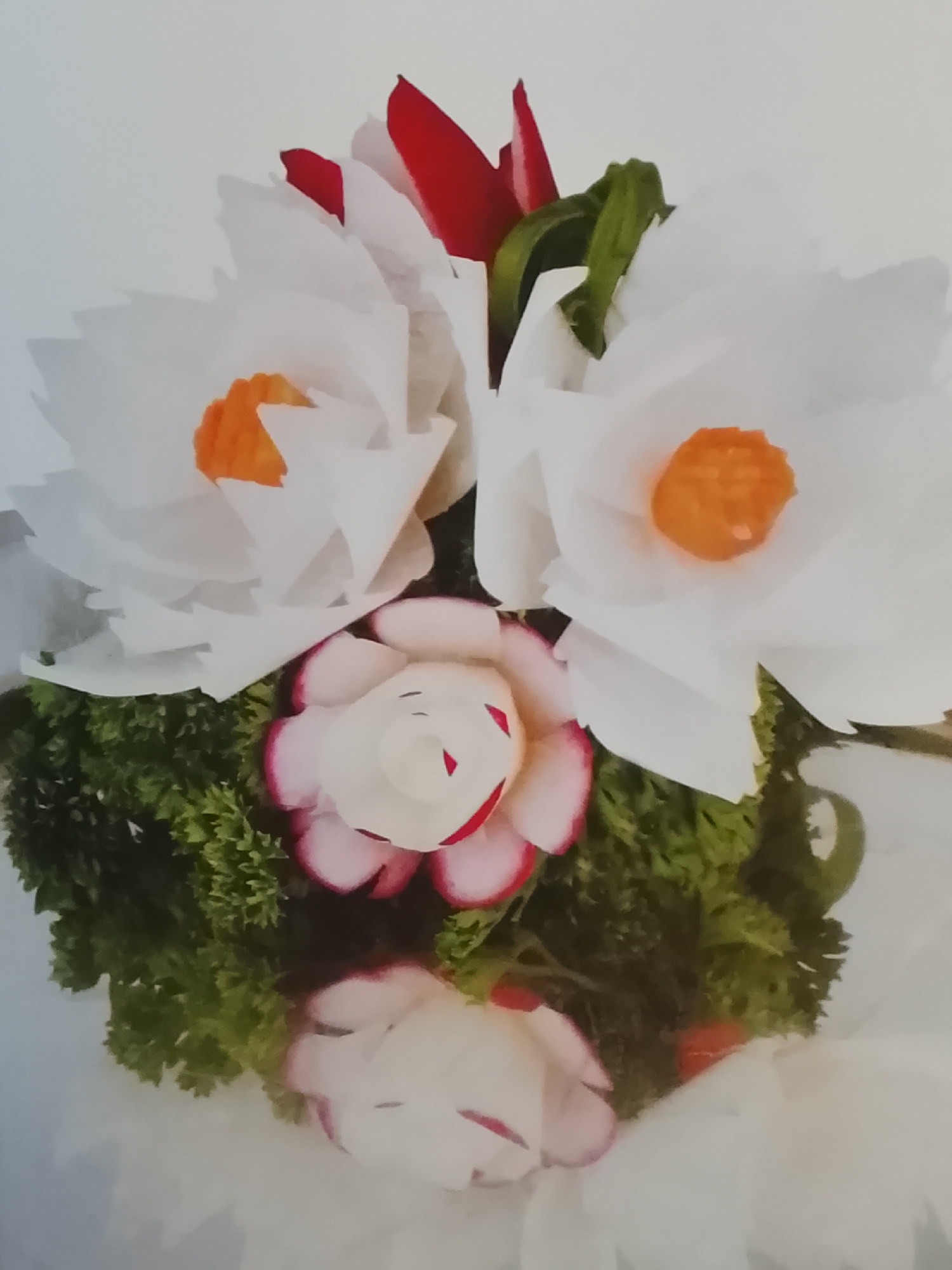 A close-up shot presents an arrangement of intricately carved vegetables, resembling flowers, set against a plain white backdrop. Two large, white flowers with orange centers dominate the upper portion of the arrangement. These appear to be crafted from daikon radish, with delicately shaped petals. Nestled beneath these are two smaller, pink and white flowers, seemingly carved from radishes. These have a pink-tinged edge and a detailed, multi-layered petal structure. Green leafy vegetation, possibly parsley, forms a bed around the base of the flower arrangements, adding a natural element to the display. Red slices and green stems are interspersed amongst the white petals. It is difficult to determine that the arrangement is specifically located in Altagracia, Venezuela from the provided image.