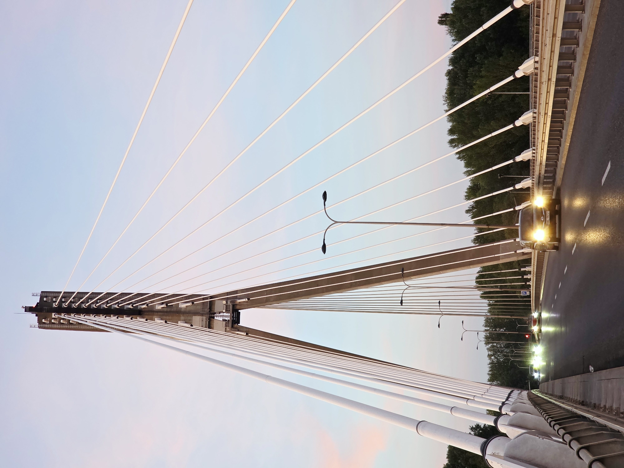 The image depicts the Royal Bridge (Most Królewski) in Warsaw, Poland, as seen from the perspective of a car driving on its roadway. The bridge's iconic pylon, a distinctive architectural feature, dominates the upper portion of the frame, with numerous white cables fanning out from it, supporting the bridge deck. Streetlights with arched arms are spaced along the bridge. The roadway is wet, reflecting the headlights of the vehicles. Several cars are visible on the bridge, some with their headlights on, suggesting it is either dusk or early morning. Trees form a dense line along the riverbank on the far side of the bridge. The sky is a soft gradient of pale blue and pink, indicating a twilight setting.