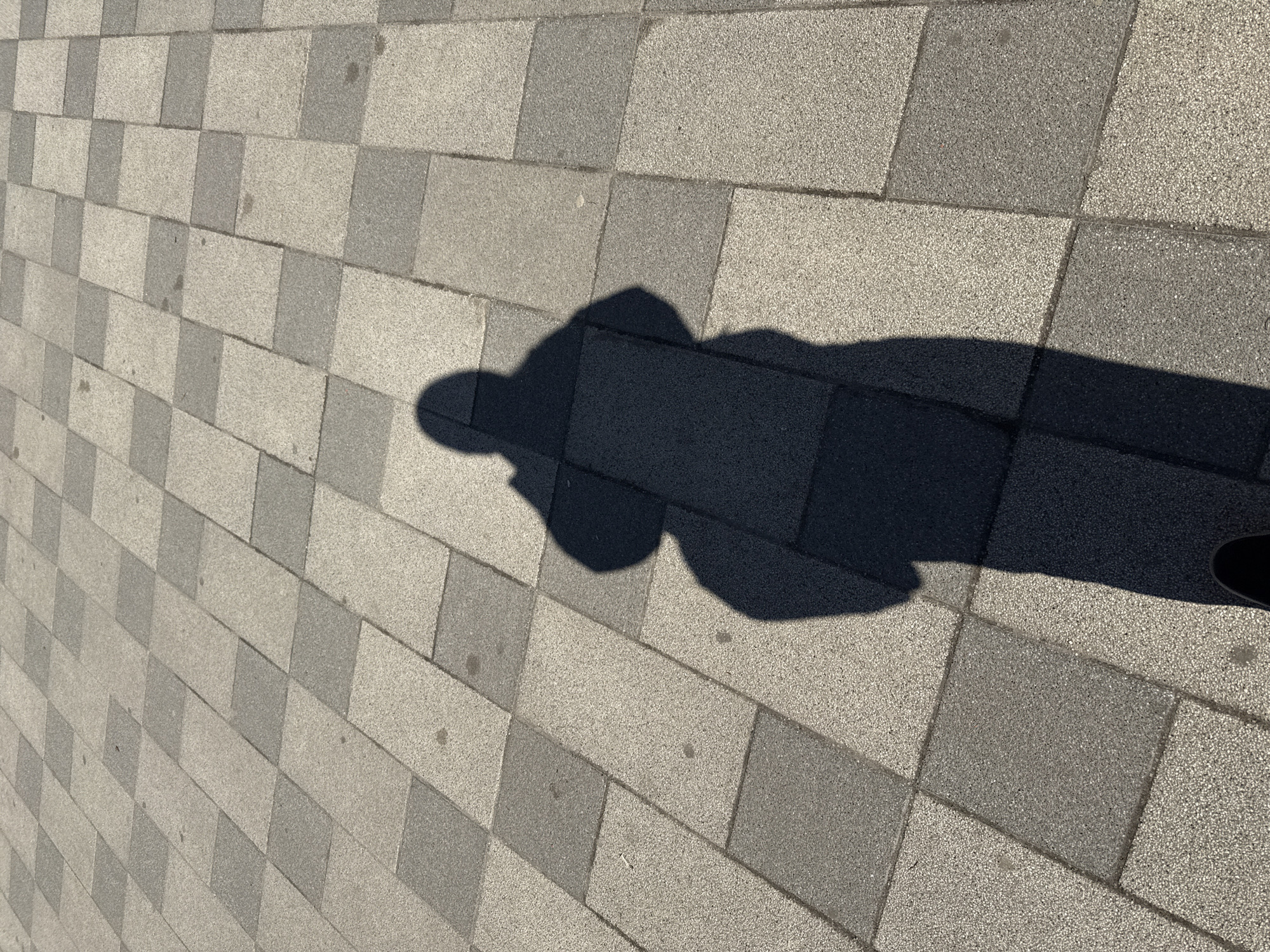 A shadow of a person is cast on a checkered, paved walkway. The walkway is made of rectangular pavers in alternating light and dark gray. The shadow appears to have a rounded head and a slightly amorphous body. A portion of a shoe is visible on the right edge of the frame. The location is not discernible as being Moscow, Russia based on the visual data.