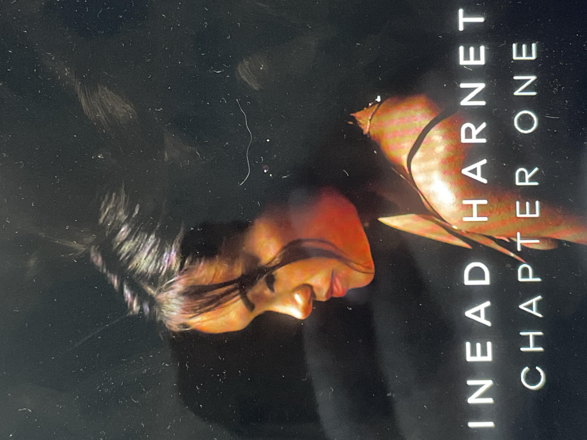 The image displays an artistic composition, likely a book cover, set against a predominantly dark, almost black background. On the left side of the frame, the profile of a woman's face is visible, looking towards the right. She has dark hair styled away from her face, and her skin tone appears warm, possibly accentuated by lighting. Her expression is calm with eyes slightly downcast.
Behind and slightly above her head, there is a reddish-orange and yellow-toned object that resembles a fruit or plant element, possibly a pomegranate. The background is stark and dark, creating a high-contrast visual.
On the right side of the image, there is white text arranged horizontally (assuming the image is viewed with the text oriented correctly). The top line reads "INEAD HARNET", and below it, "CHAPTER ONE". The text is clean and sans-serif.
Numerous small, bright specks and faint linear scratches are scattered across the dark background, suggesting dust or imperfections on the surface of the item being photographed, or possibly on the camera lens. No specific activity or event is taking place; the image is a static portrayal. The overall mood is dramatic and contemplative. No explicit location or time of day cues are present beyond the artistic lighting.