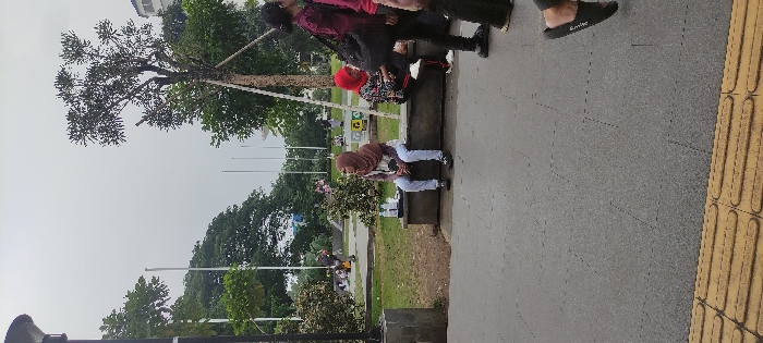 Memory