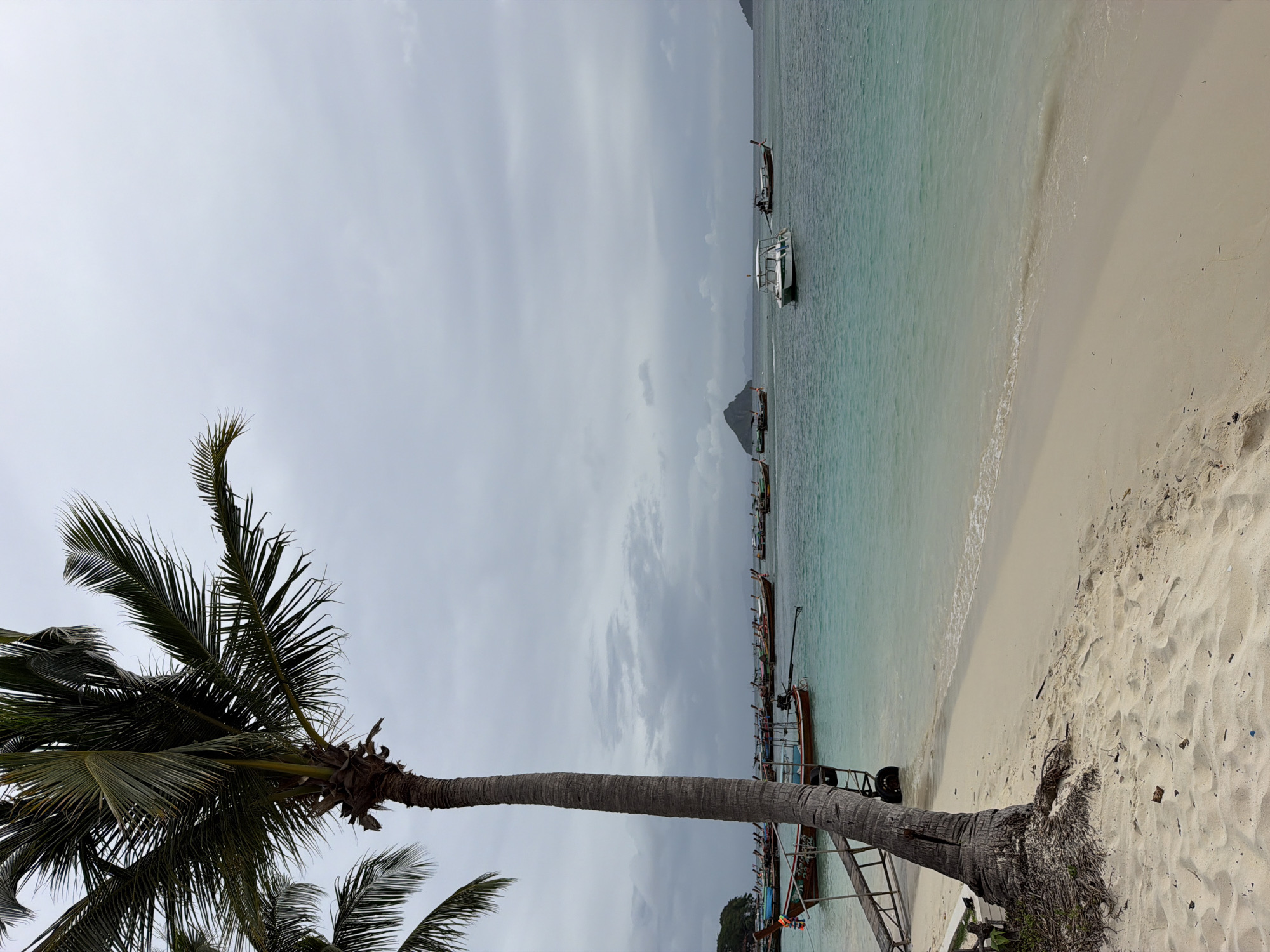 The image depicts a tropical beach scene in Ao Nang, Thailand, under an overcast sky. In the foreground, a tall palm tree with long fronds leans towards the right, its trunk showing visible cracks. Its roots are exposed and surrounded by dry vegetation on the sandy shore. A wooden ramp extends from the beach into the turquoise water. Several traditional Thai longtail boats are anchored in the shallow water, some closer to shore and others further out. One white motorboat is visible in the middle distance. In the background, a chain of islands with distinctive conical peaks rises from the sea, shrouded in mist. The water is clear and shallow near the beach, gradually deepening offshore. The sand is pale and appears to have some debris scattered on it. The overall atmosphere is serene and natural, typical of a beach destination.