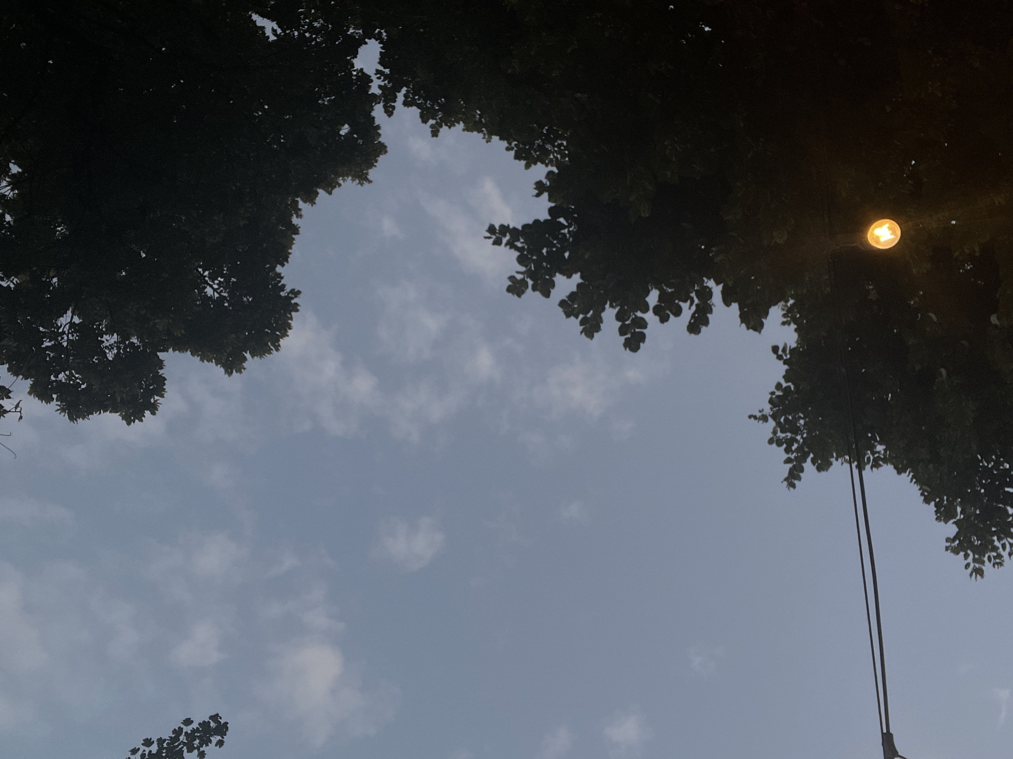 The image shows a dark sky with scattered clouds. Silhouettes of trees frame the upper right and lower left corners of the image. In the lower right portion of the image, a single illuminated light bulb hangs from a wire, casting a warm glow. The scene appears to be an outdoor setting, possibly a park or a street, in Hisarya, Bulgaria, at dusk or night. There are no people or any visible actions taking place.