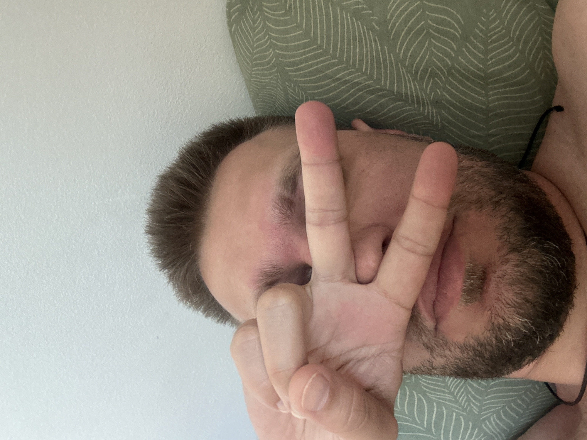 A close-up, low-angle, eye-level, selfie-style, medium shot shows a man lying down and covering his right eye with his left hand, with two fingers extended. The man has short, brown hair and a beard. He is lying on a green, leaf-patterned pillow. The background is a light-colored wall. The image appears to have been taken indoors, in a residential setting. The man is the primary subject, and his gesture suggests he is either playful or trying to block the camera. The lighting is natural and comes from the front, casting minimal shadows. The man's left eye is visible, and he appears to be looking at the camera. The overall mood is casual and relaxed. The image has no discernible urban context within Zvezdara Urban Municipality, Serbia.
