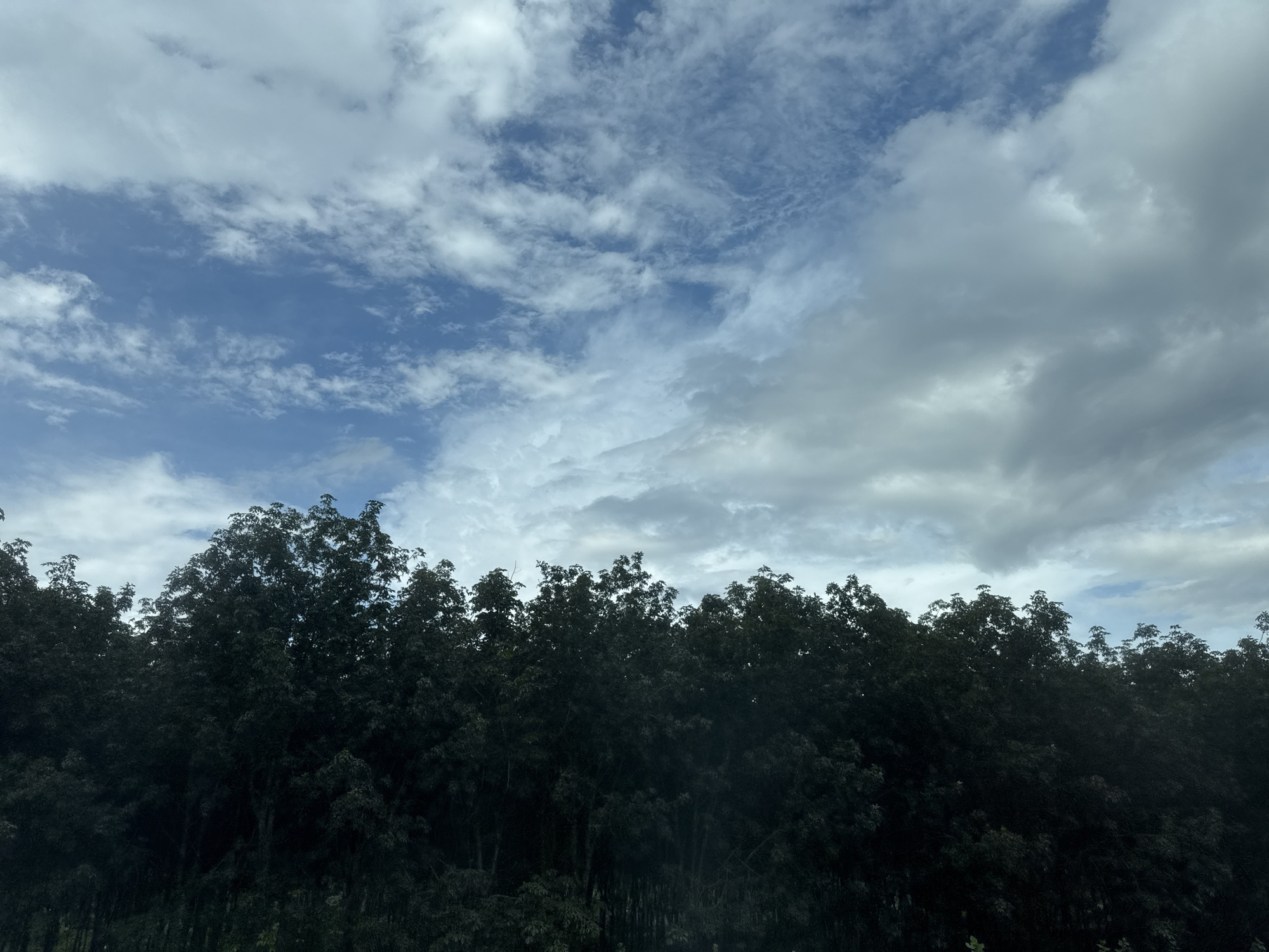 The image displays a dense line of dark green trees against a sky filled with a mix of blue patches and white clouds. The trees form a dark, almost solid wall of foliage across the lower portion of the frame, obscuring any view of the ground or what lies beyond. The clouds vary in density, with some areas appearing thin and wispy, allowing glimpses of blue sky, while others are thicker and more opaque, casting a grayish hue. The overall impression is of a natural landscape, possibly a forest edge or a plantation, under a partly cloudy sky. There is no indication of Ia Tor, Vietnam, or any specific urban elements within the image.
