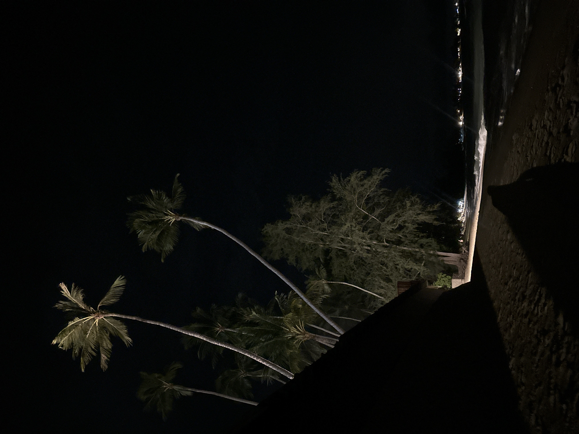 This image captures a nighttime scene on a sandy beach in Baan Lipa Noi, Thailand. The sky is uniformly black. In the upper left, multiple tall palm trees are visible; the fronds of the central palm are illuminated, appearing greenish against the dark sky. Several other palm trunks ascend from the lower left towards the center and right. A large, dark, triangular architectural element, possibly a roofline or wall of a building, dominates the lower left quadrant, casting a broad shadow across the immediate foreground. To the right of this structure, a denser tree with numerous branches and dark foliage is present. A sandy beach occupies the lower and central right portions of the frame. White-crested waves are visible breaking on the shore along the right edge. In the far distance across the dark ocean, a horizontal cluster of small, bright artificial lights is discernible. A faint, elongated shadow is cast on the sand in the lower right foreground. No individuals are explicitly visible in the scene.
