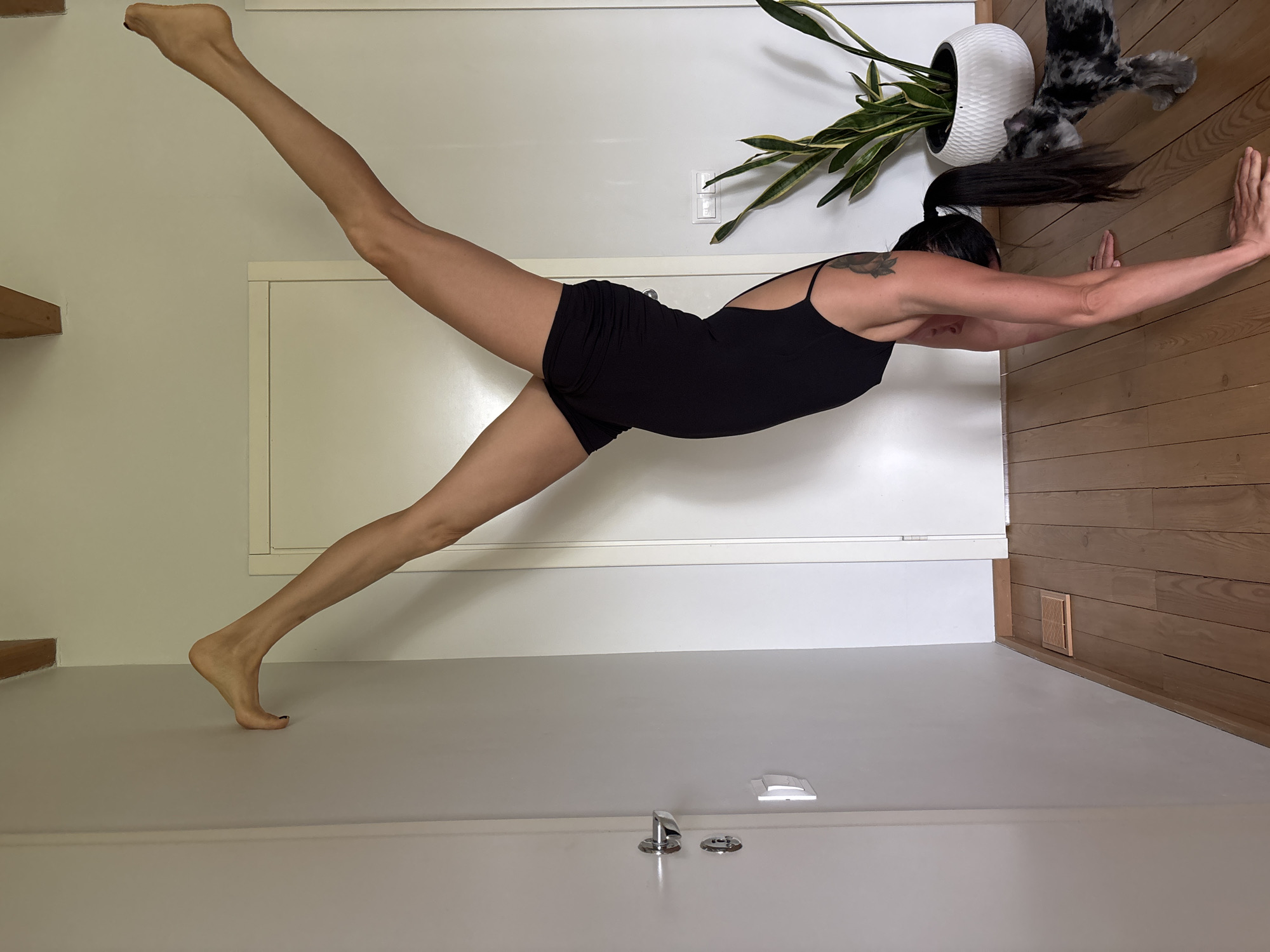 A woman is performing a handstand against a wall in what appears to be an indoor space with wooden flooring and white walls. One foot is pressed against the wall, while the other leg is extended upwards at an angle. The woman is wearing a black athletic outfit. A dog with a speckled coat is visible to the right of the woman, near a potted plant. The scene is brightly lit, suggesting natural light sources. There is a door with a silver handle on the left wall, and a light switch on the right wall. The overall environment suggests a home or a studio setting. There is no indication of the location being Chaikovsky, Russia.