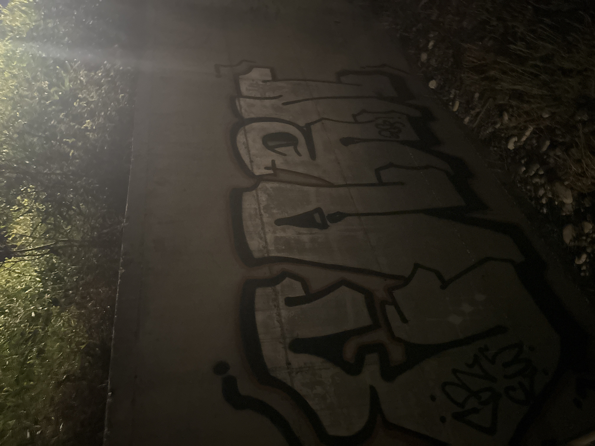 In Agios Tychona Community, Cyprus, a concrete wall is covered in graffiti. The graffiti features large, stylized lettering in a bubble font, predominantly in white with black outlines and some reddish-brown shading. The text appears to spell out "FABNT" with additional tags on the left side, including what looks like "187 EWt." The wall itself is in a dimly lit outdoor environment, with dry grass and small stones visible at the base of the wall. Overhanging vegetation, illuminated by an unseen light source, casts shadows and creates a dappled effect on the scene. The lighting suggests it is nighttime or dusk.