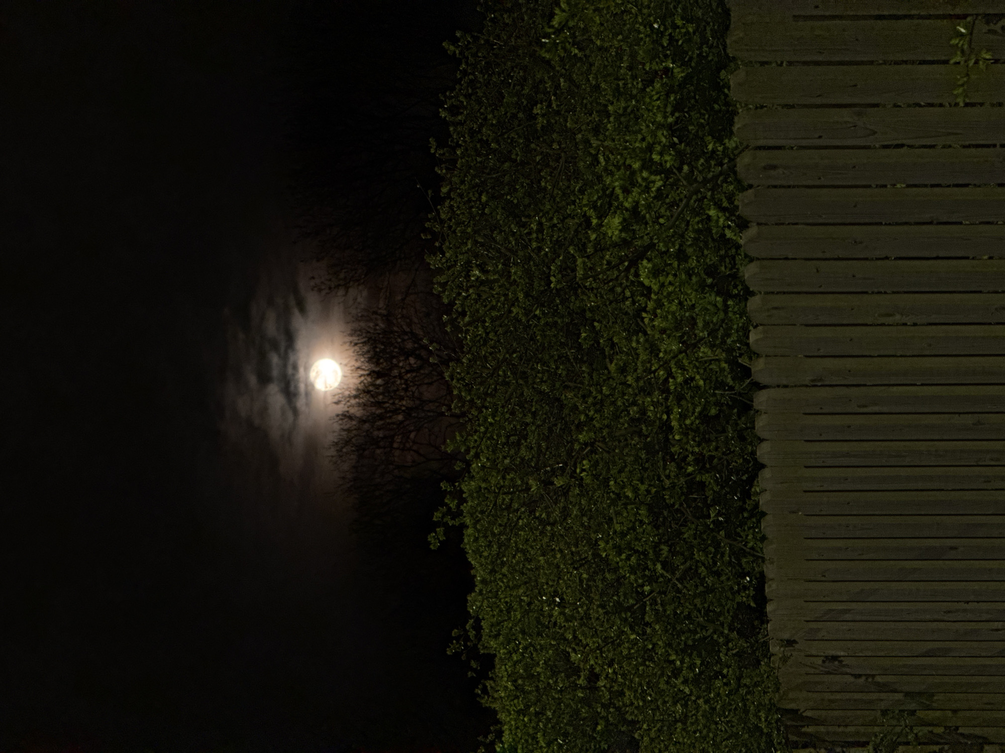 The image is taken at night, possibly in London, United Kingdom, given the mention of the city in the prompt, though this cannot be confirmed visually. On the left side, a full moon is visible through a cloudy sky, partially obscured by the branches of a tree. Adjacent to the tree is a wooden fence or wall running vertically along the right side of the frame. The image is dark, with the moon providing the only significant source of light.