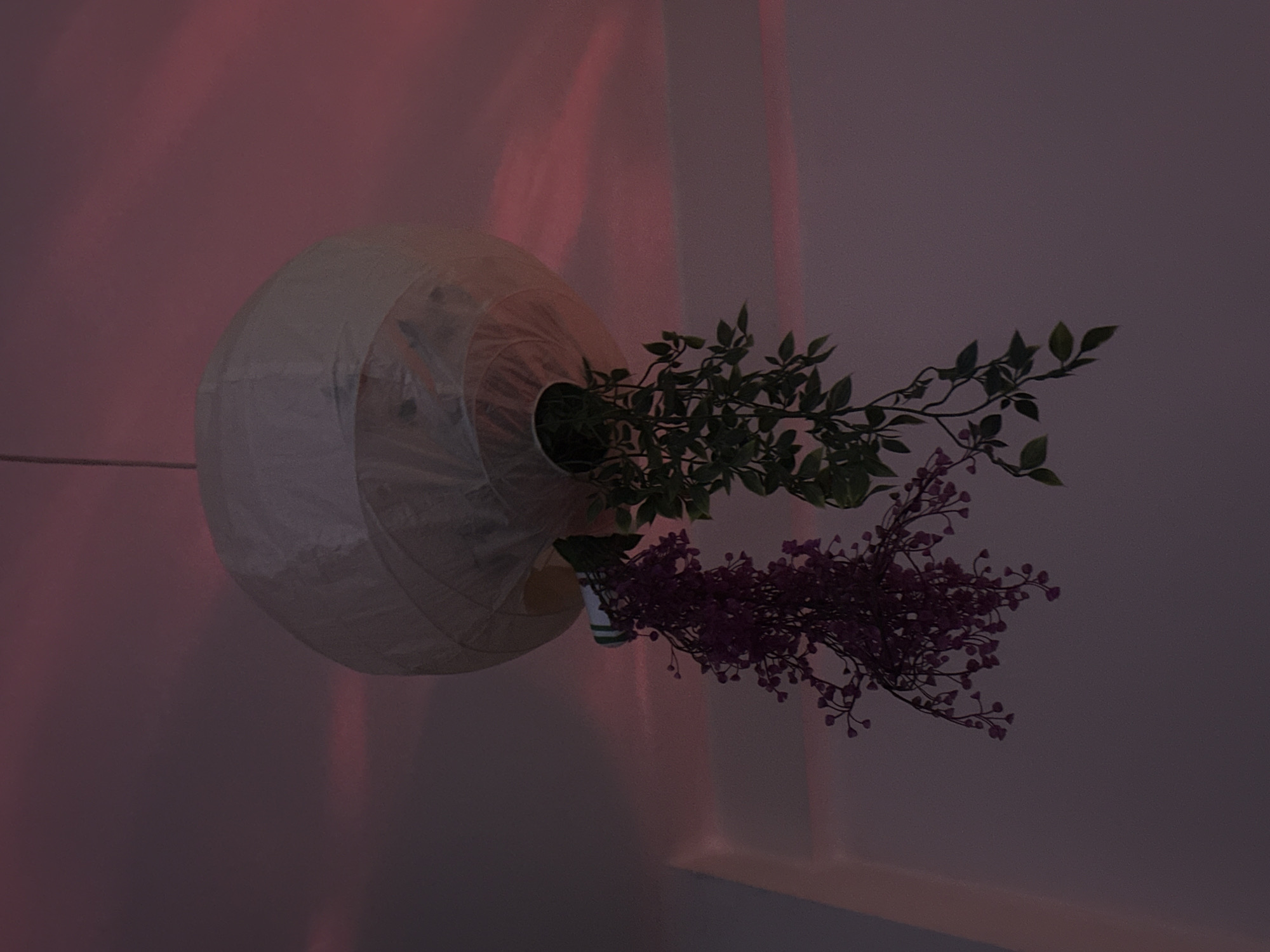 This image shows a hanging lantern with two artificial plants dangling from it. The lantern is white and spherical. One plant has small purple flowers and is on the left side. The other plant is green with leaves and is on the right side. The background appears to be a wall with a soft gradient of pink and purple hues, possibly from a sunset or artificial lighting. There are no people or animals visible in the image. The scene does not provide any specific indicators to determine its location in Haifa, Israel.