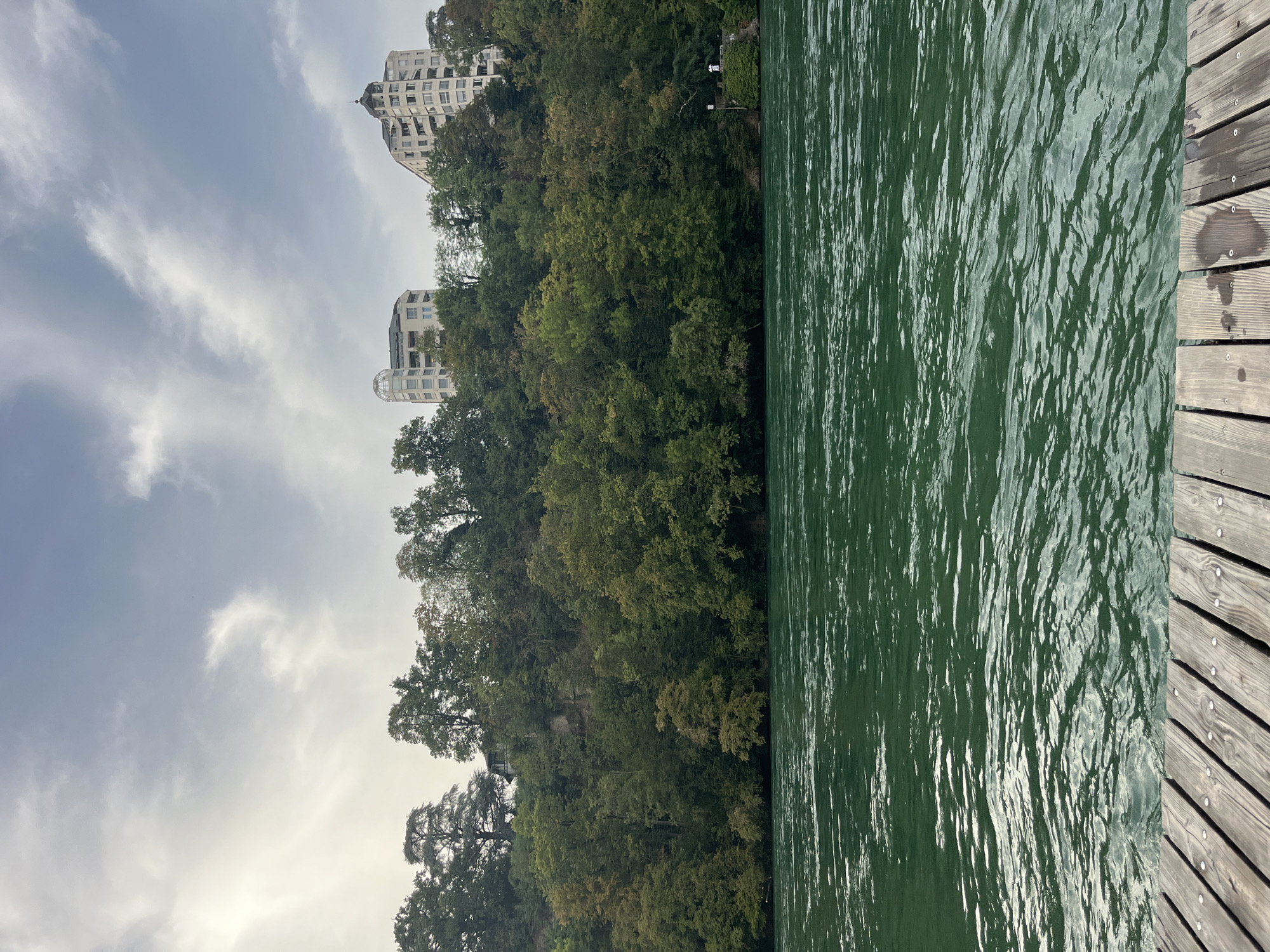 The image depicts a view of the Rhône River from a wooden dock in Geneva, Switzerland. The river's surface is a vibrant green, reflecting the overcast sky and is rippled by a gentle current. On the far bank, a densely wooded hillside rises, covered in lush green trees with some foliage showing autumn colors. Several modern, light-colored apartment buildings are visible nestled among the trees at the top of the hill. The foreground consists of a weathered wooden dock made of planks laid parallel to each other, secured by visible nails. The sky is filled with soft, grey clouds, suggesting a cool or overcast day. The overall impression is one of a serene, urban riverside landscape.