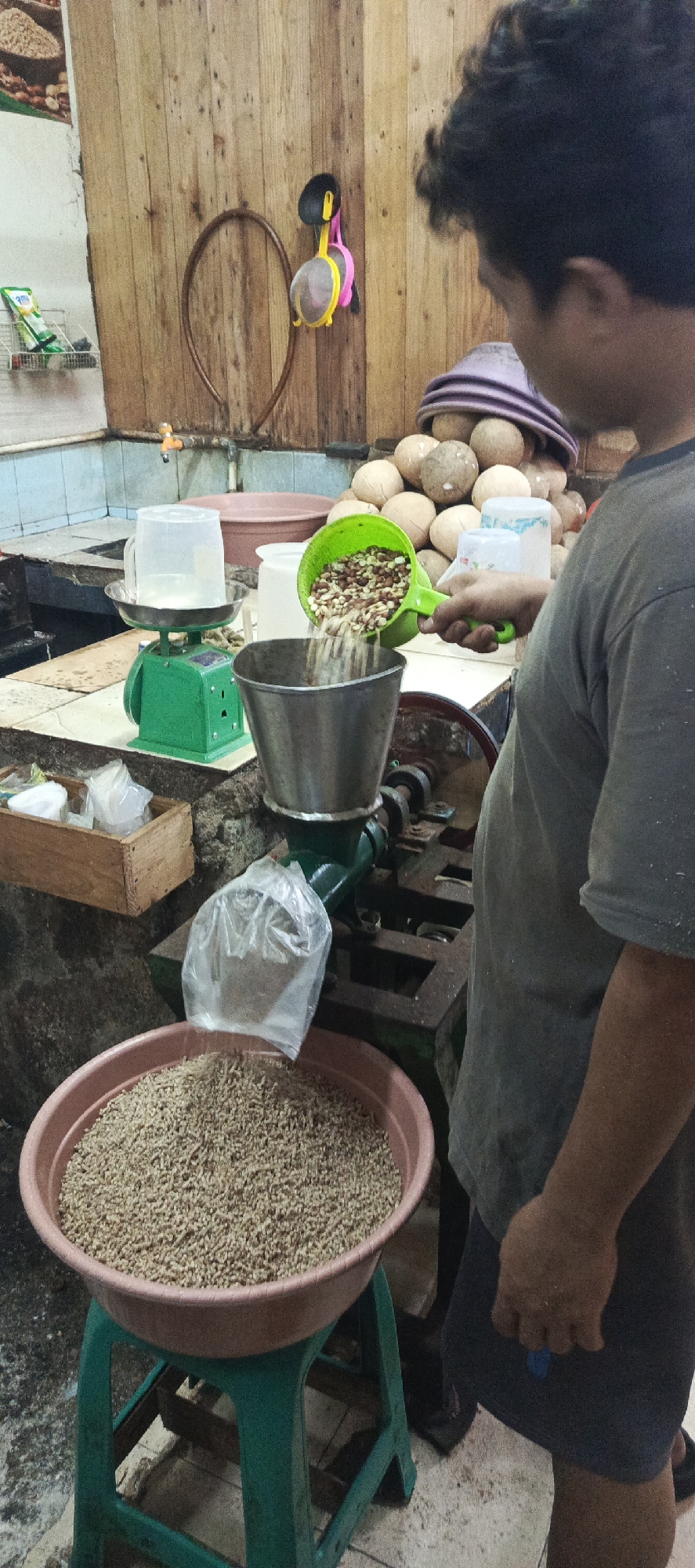 In Sukaresmi, Indonesia, a man is operating a grain grinding machine. He is wearing a grey t-shirt and dark shorts. He is in the process of pouring a green scoop full of grain into the hopper of a green and silver grinding machine. Below the machine, a pink plastic basin sits on a green plastic stool, filled with ground grain. To the left of the machine, a green scale with a clear plastic container on it is visible. The background features a wooden wall with a circular pipe and a small rack with cleaning supplies. In the background, there is a stack of coconuts and several large plastic containers.
