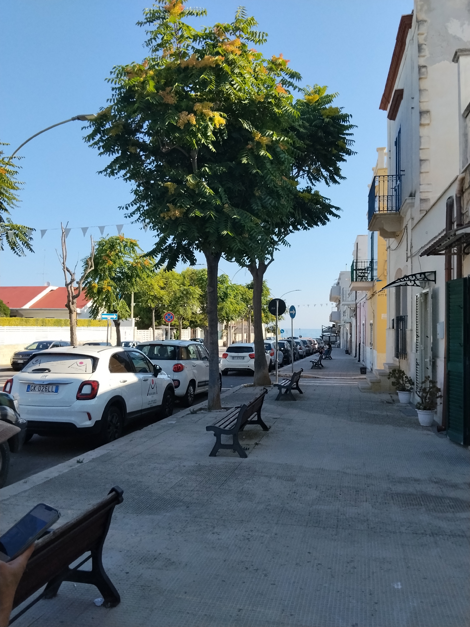 The image shows a street scene in Bari, Italy. In the foreground, a person's hand holds a smartphone, partially obscuring a wooden bench. The bench itself is weathered and positioned on a paved sidewalk. Several white cars are parked along the street, one of which has the license plate "GK 026LL". Tall trees with green leaves and some yellowing foliage line the sidewalk, casting shadows. Buildings with light-colored facades and balconies line the opposite side of the street. In the distance, more parked cars and trees are visible, as well as a glimpse of the sea under a clear blue sky. Decorative triangular flags are strung across the street between the buildings. The scene appears to be a relatively quiet street in a coastal town.